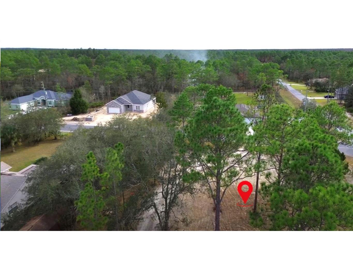 10379 Thrasher Avenue Weeki Wachee FL 34614 TB8361333 image5