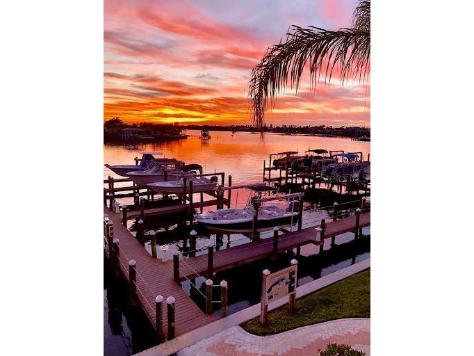 1038 Bellasol Way #203 Apollo Beach FL 33572 A4565727 image1