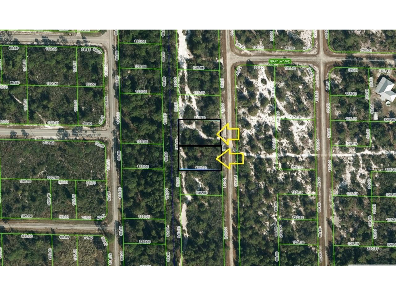 1038 Helmsley Street Lake Placid FL 33852 C7476127 image1