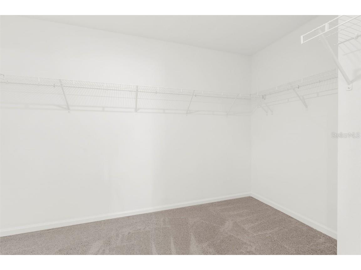 1038 Kelly Fern Loop Ruskin FL 33570 TB8395971 image22