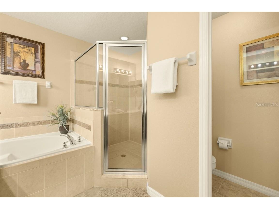 1038 Orange Cosmos Boulevard Davenport FL 33837 S5135996 image31