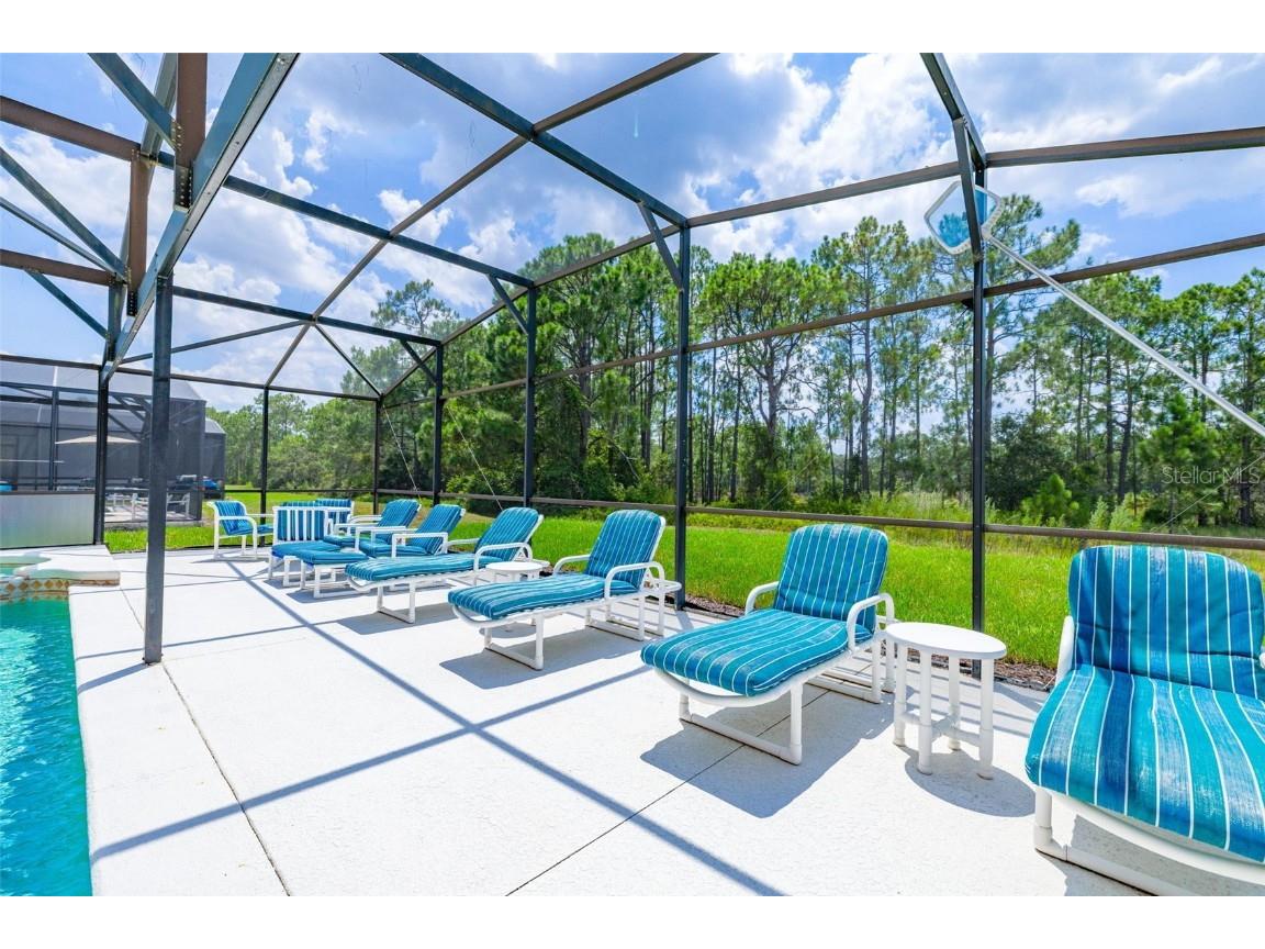 1038 Orange Cosmos Boulevard Davenport FL 33837 S5135996 image7