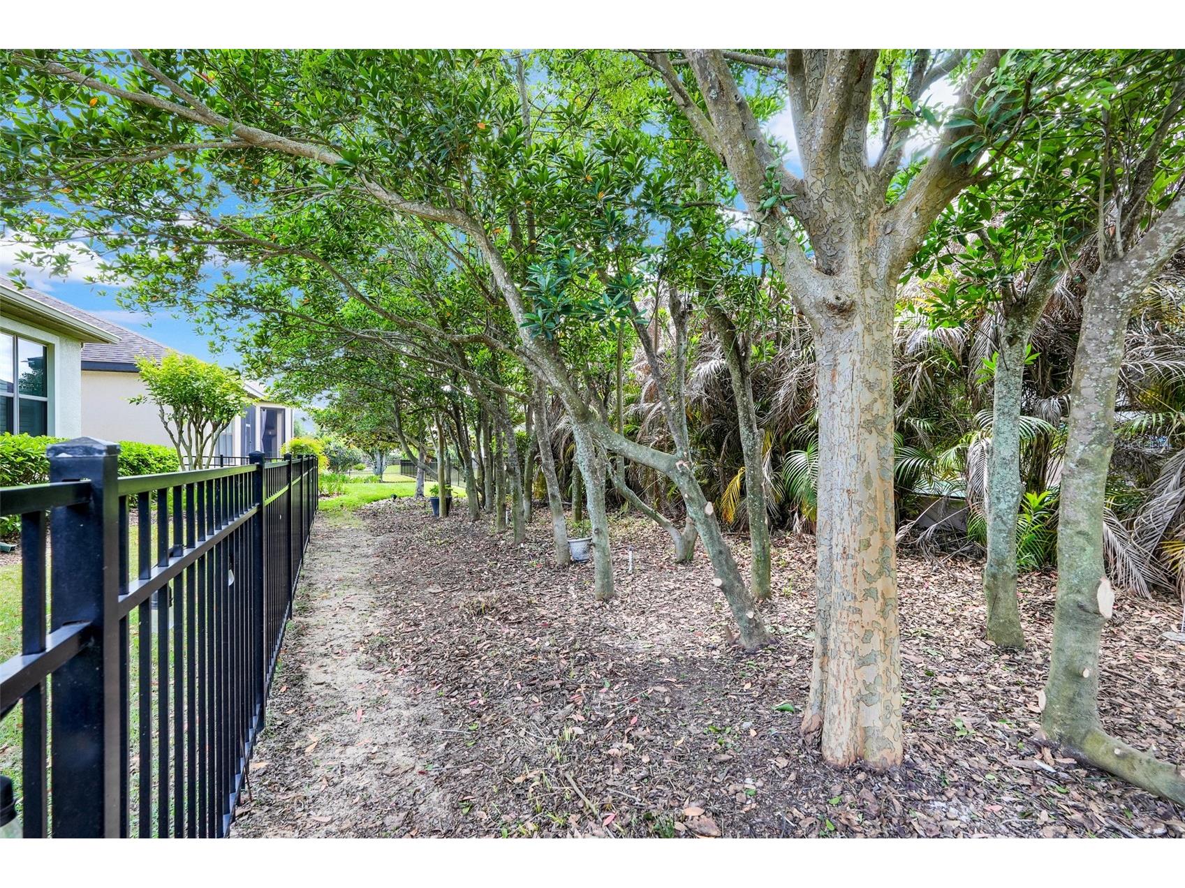 1038 Timbervale Trail Clermont FL 34715 G5104056 image30