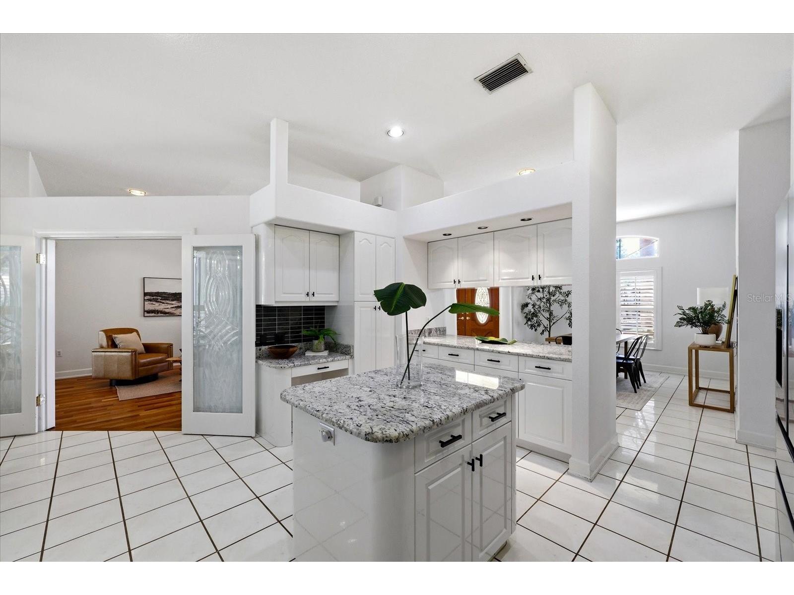 1038 Wideview Avenue Tarpon Springs FL 34689 TB8510525 image22