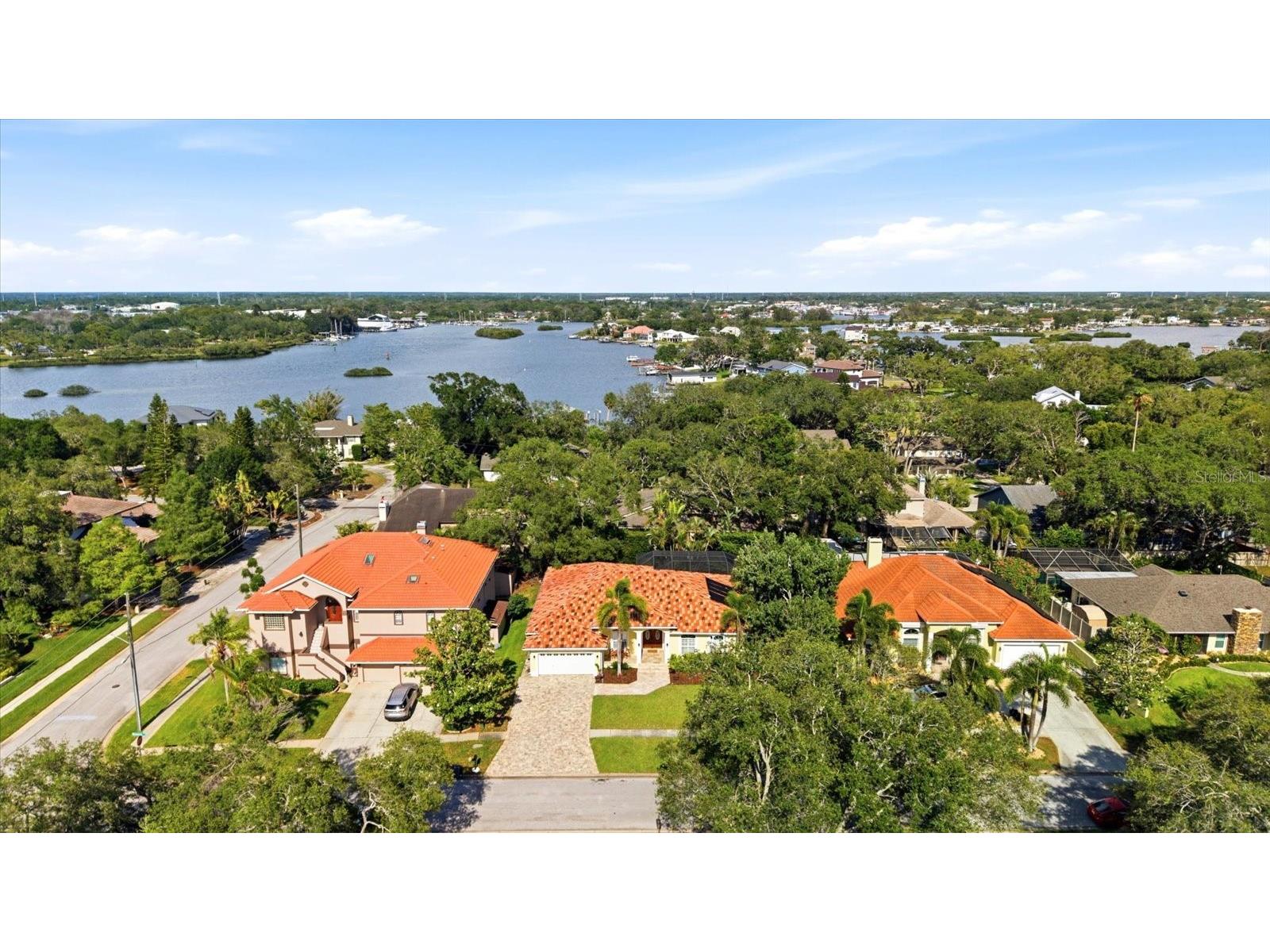 1038 Wideview Avenue Tarpon Springs FL 34689 TB8510525 image42