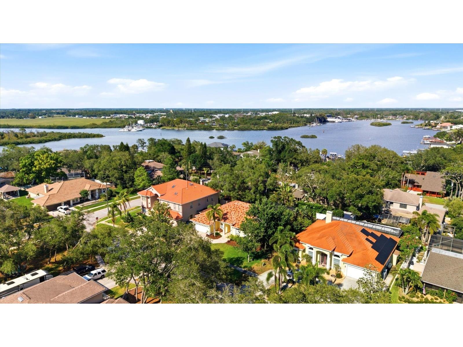1038 Wideview Avenue Tarpon Springs FL 34689 TB8510525 image45