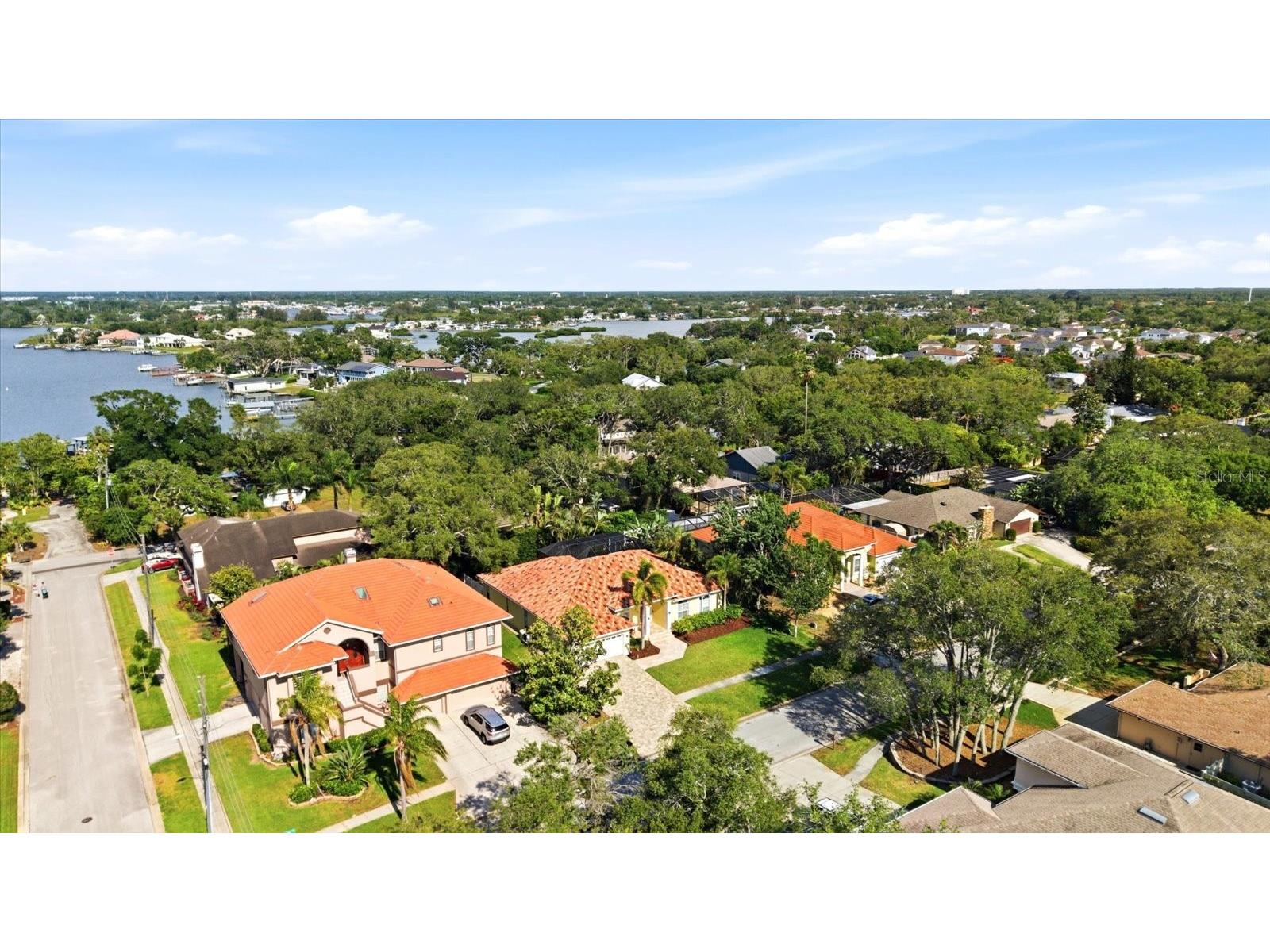1038 Wideview Avenue Tarpon Springs FL 34689 TB8510525 image46