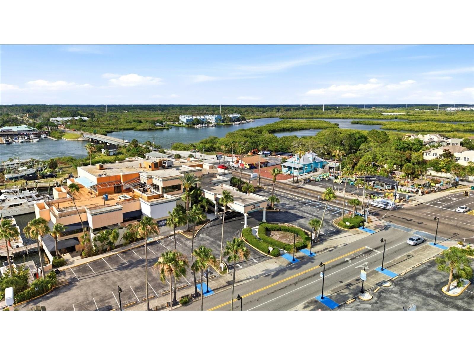 1038 Wideview Avenue Tarpon Springs FL 34689 TB8510525 image52
