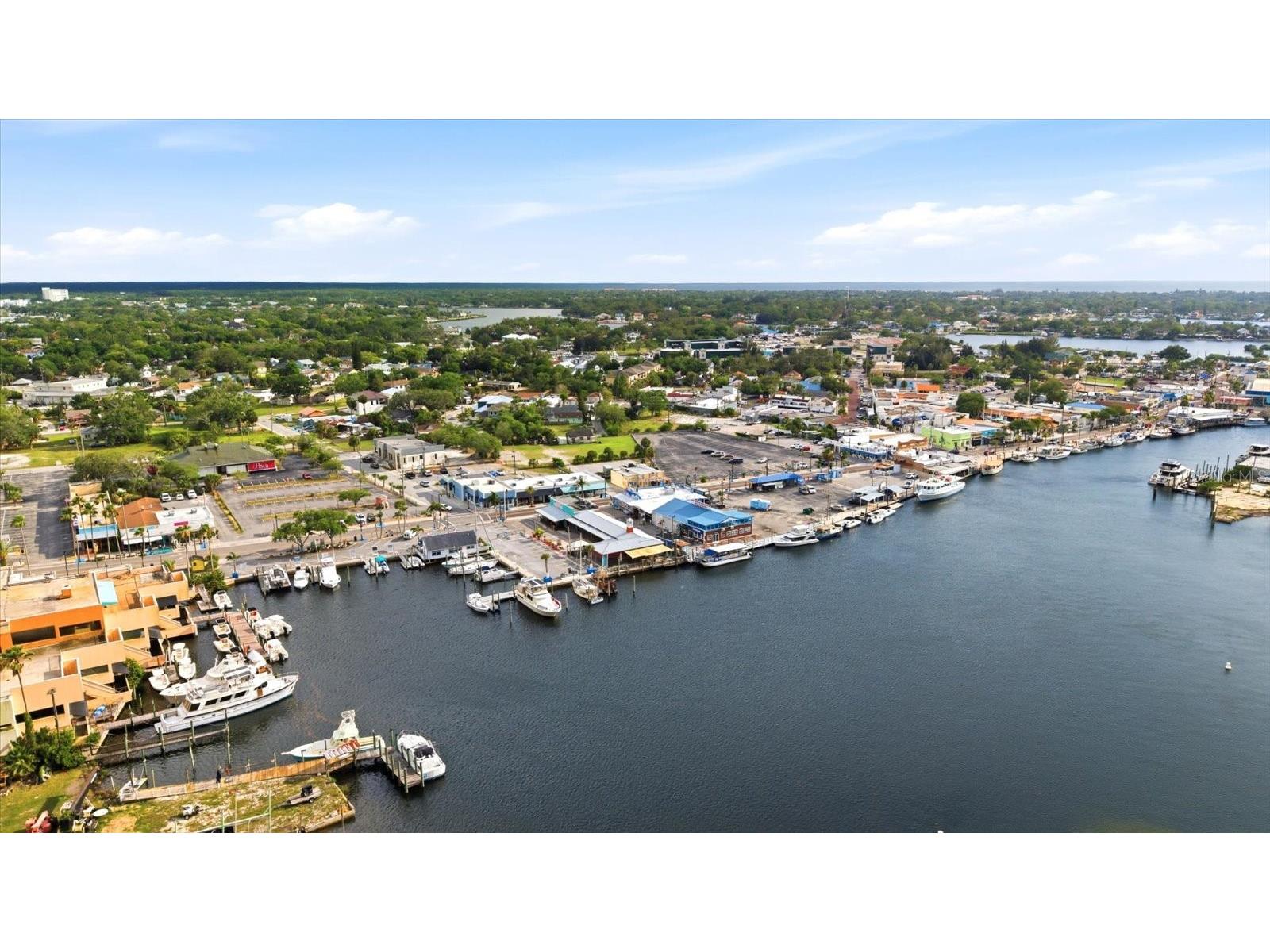 1038 Wideview Avenue Tarpon Springs FL 34689 TB8510525 image53