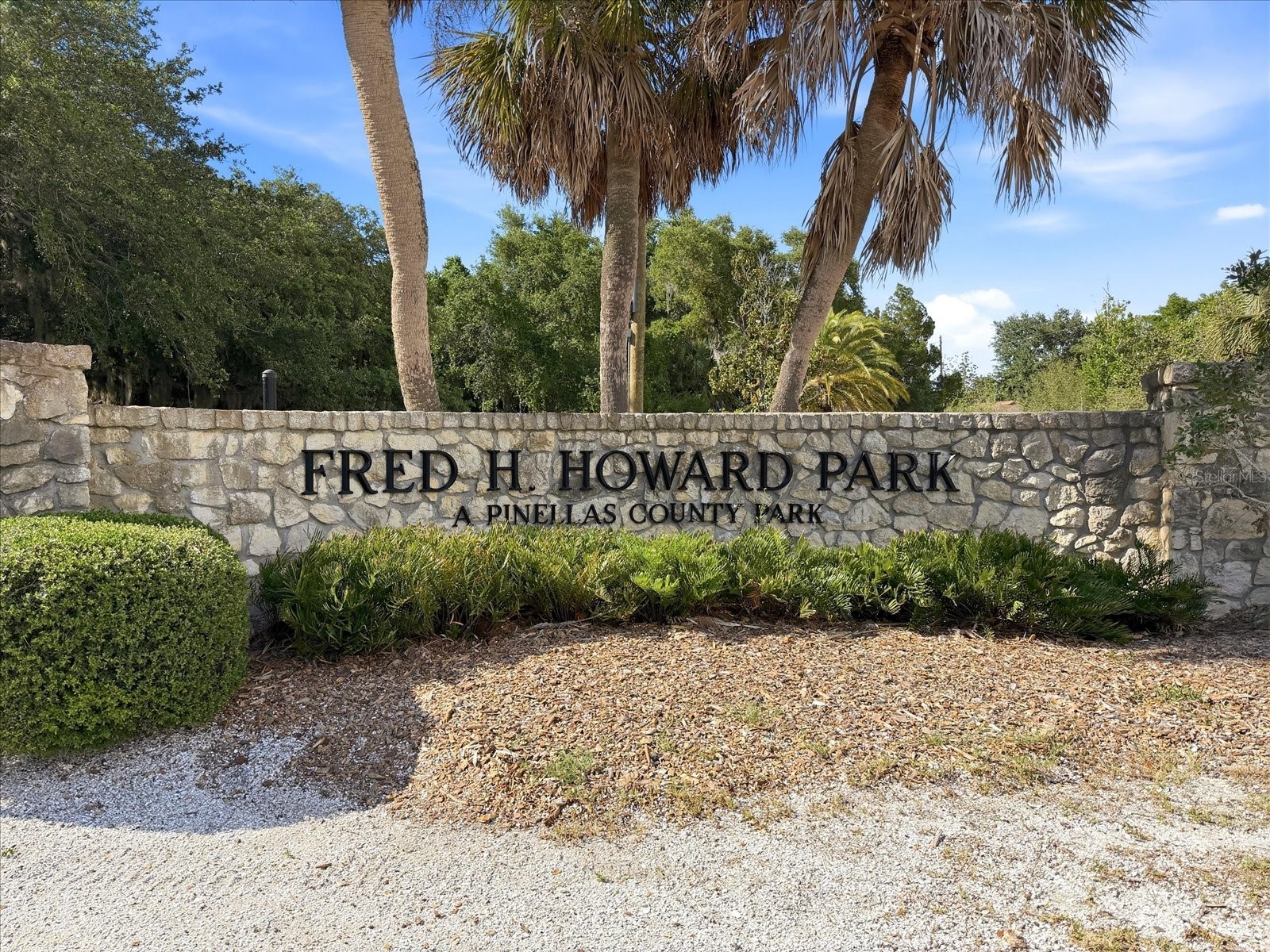 1038 Wideview Avenue Tarpon Springs FL 34689 TB8510525 image54