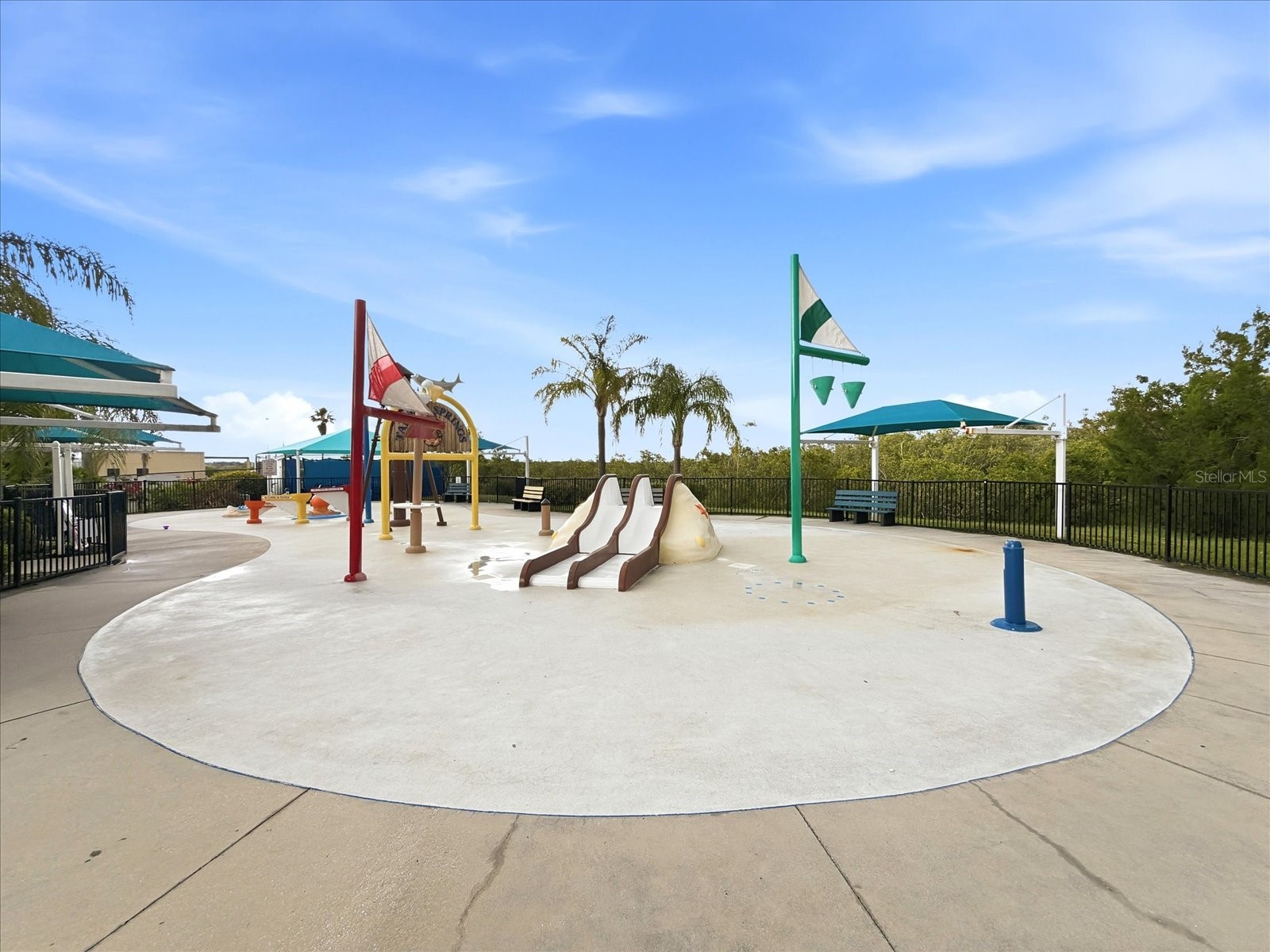 1038 Wideview Avenue Tarpon Springs FL 34689 TB8510525 image58