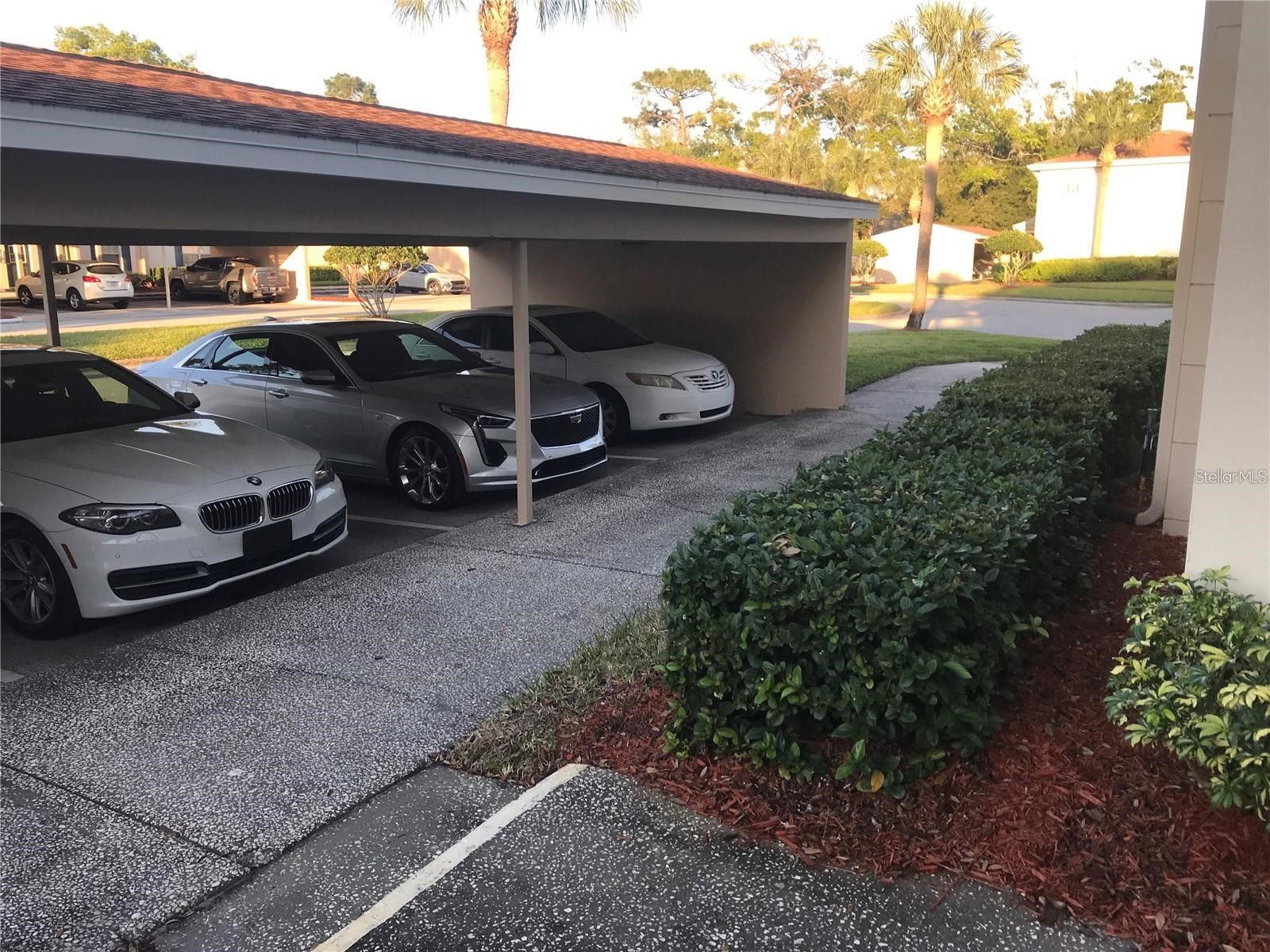 10380 Carrollwood Lane #264 Tampa FL 33618 TB8492245 image10