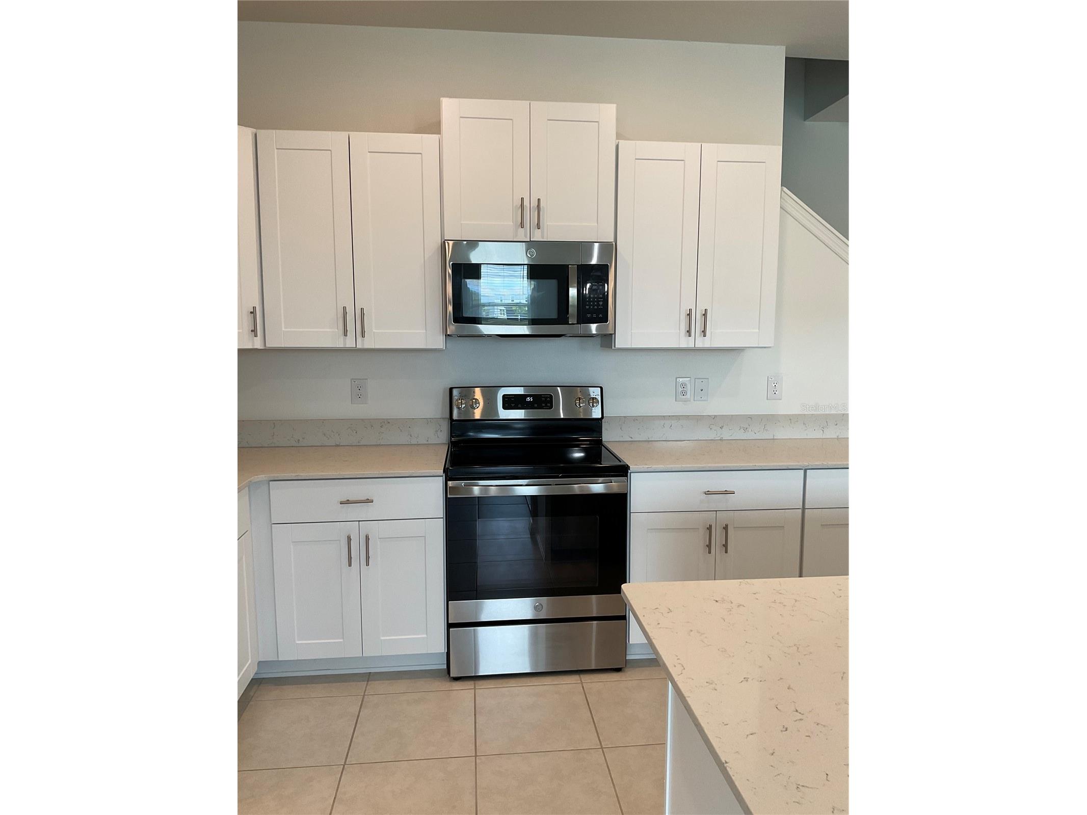 10380 Lavender Aster Trail San Antonio FL 33576 TB8513419 image13