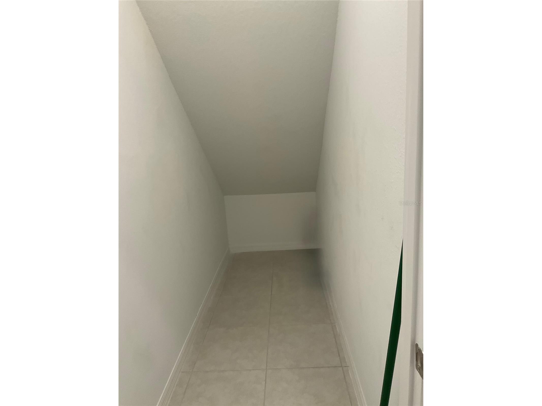 10380 Lavender Aster Trail San Antonio FL 33576 TB8513419 image19