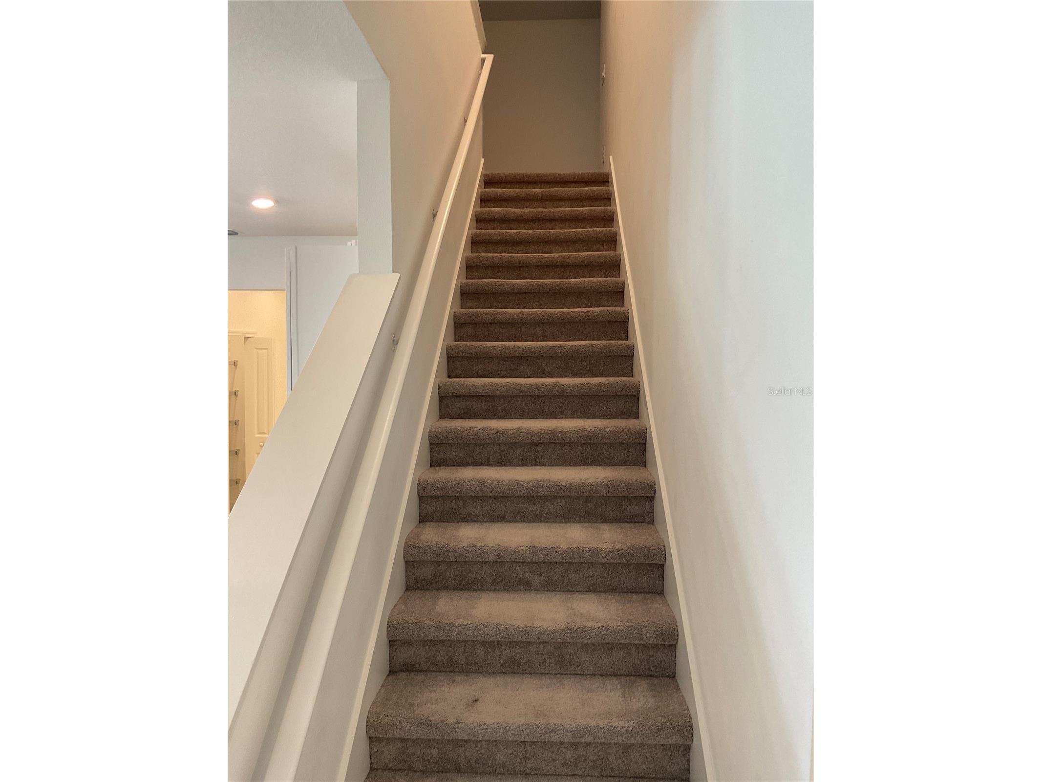 10380 Lavender Aster Trail San Antonio FL 33576 TB8513419 image22