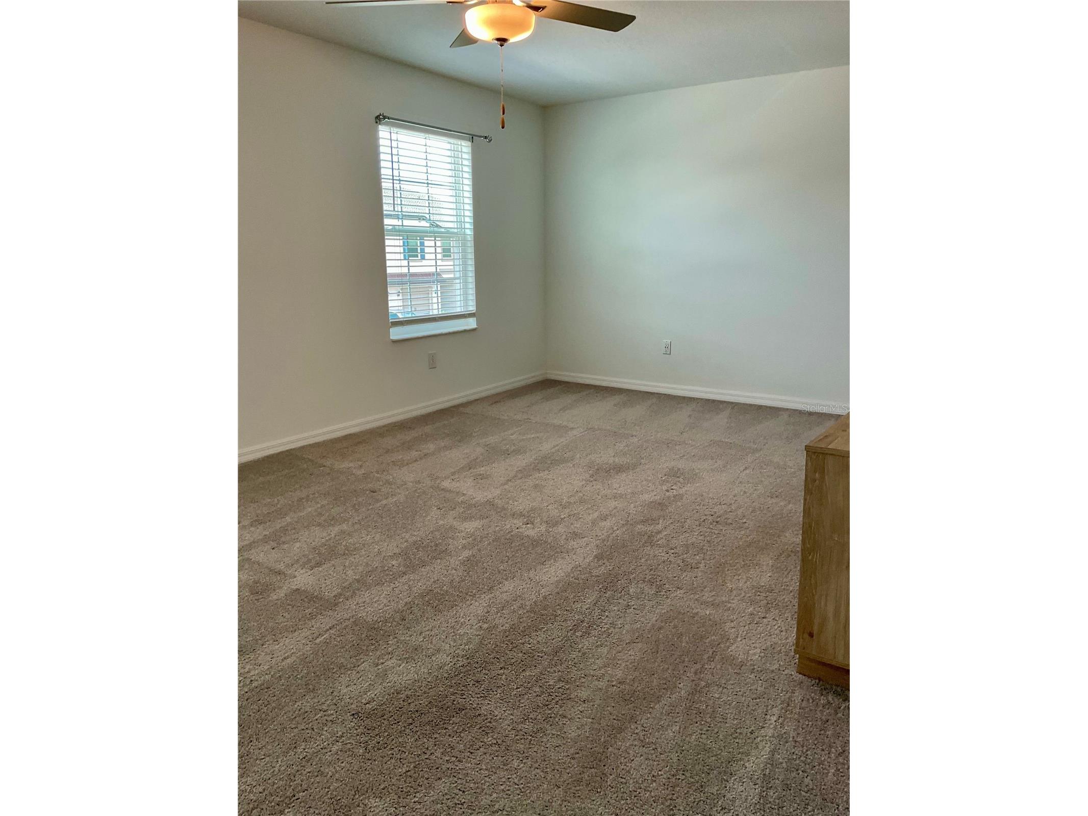 10380 Lavender Aster Trail San Antonio FL 33576 TB8513419 image24