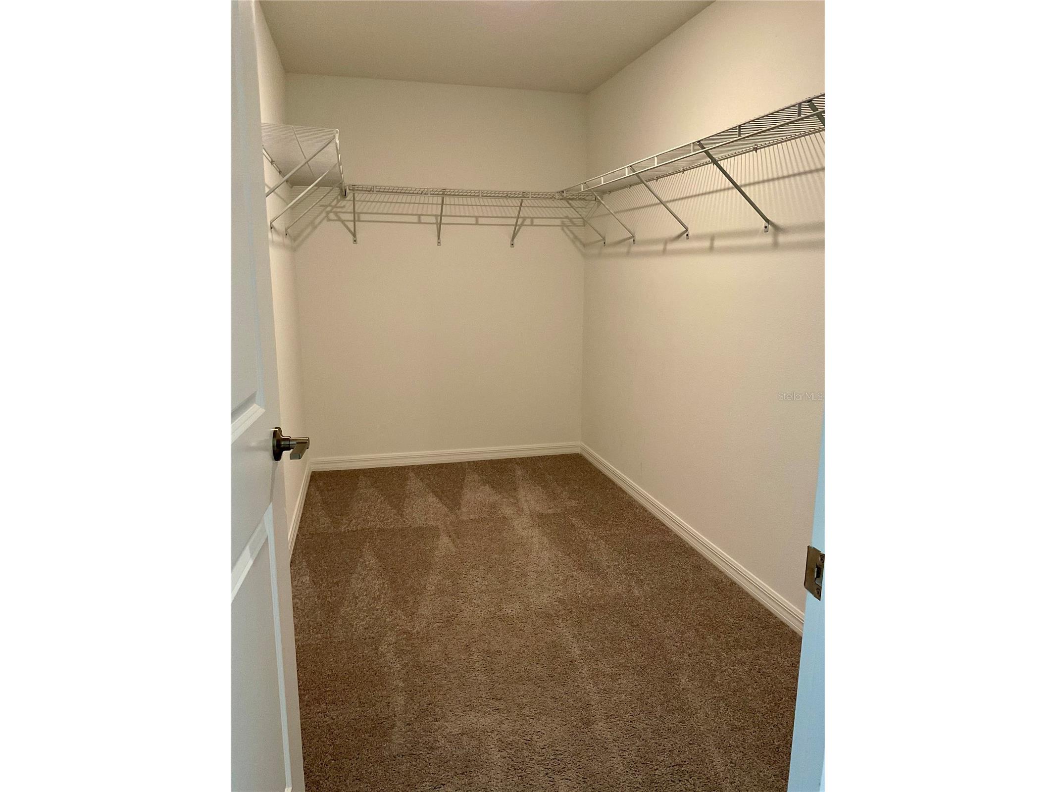 10380 Lavender Aster Trail San Antonio FL 33576 TB8513419 image26