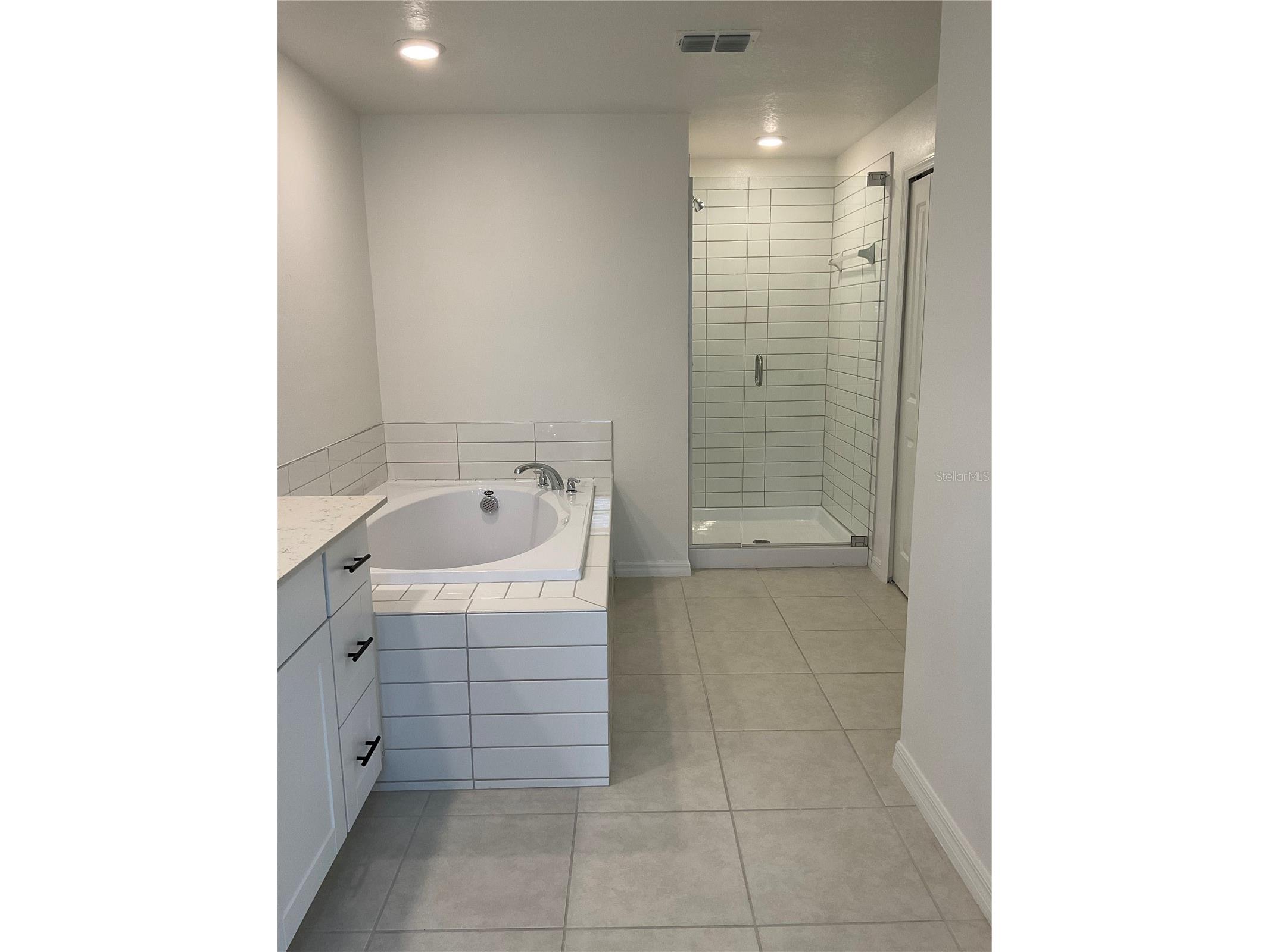 10380 Lavender Aster Trail San Antonio FL 33576 TB8513419 image28