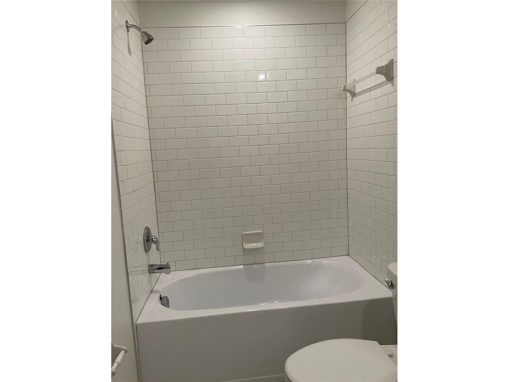 10380 Lavender Aster Trail San Antonio FL 33576 TB8513419 image38