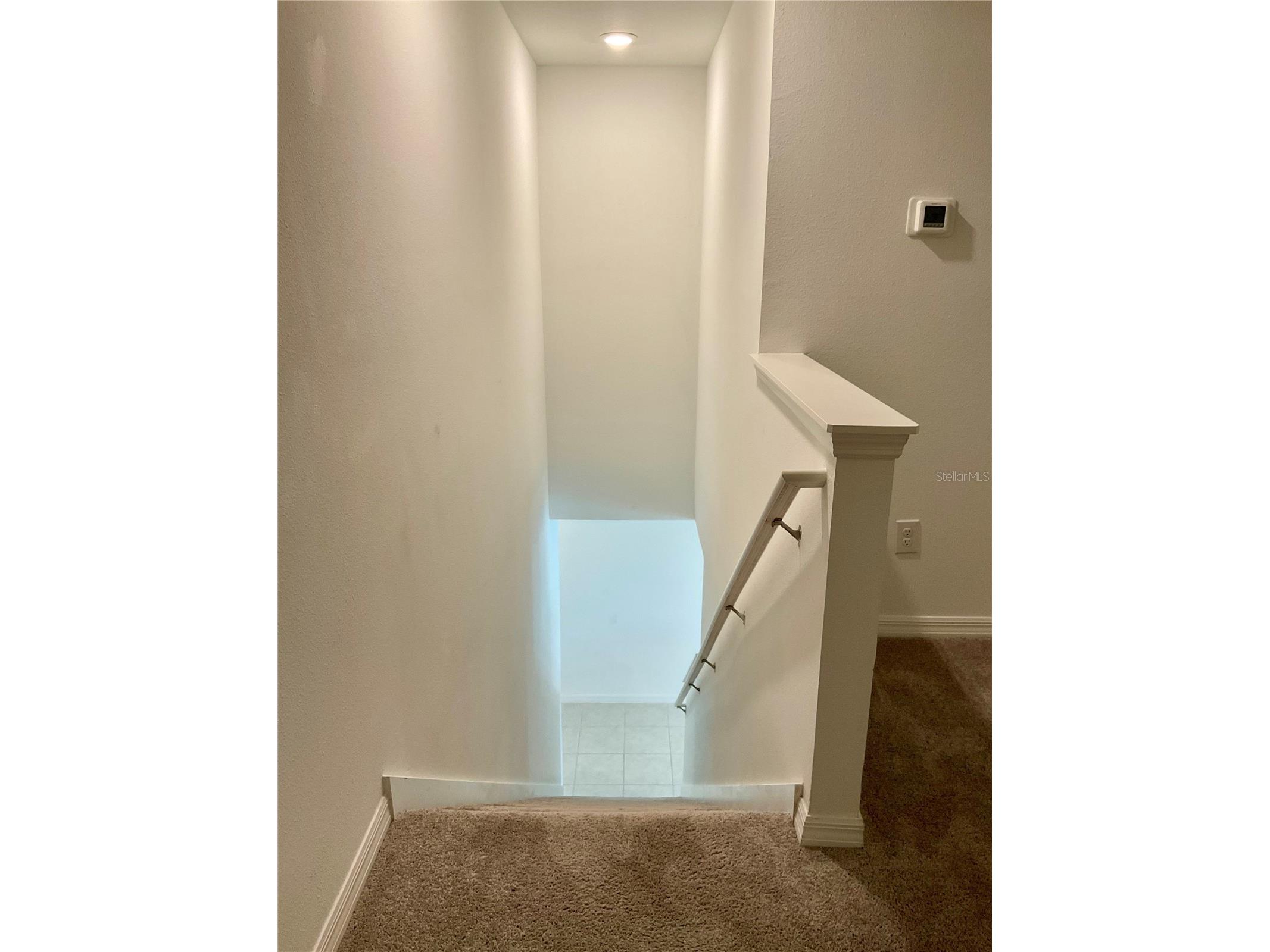 10380 Lavender Aster Trail San Antonio FL 33576 TB8513419 image39