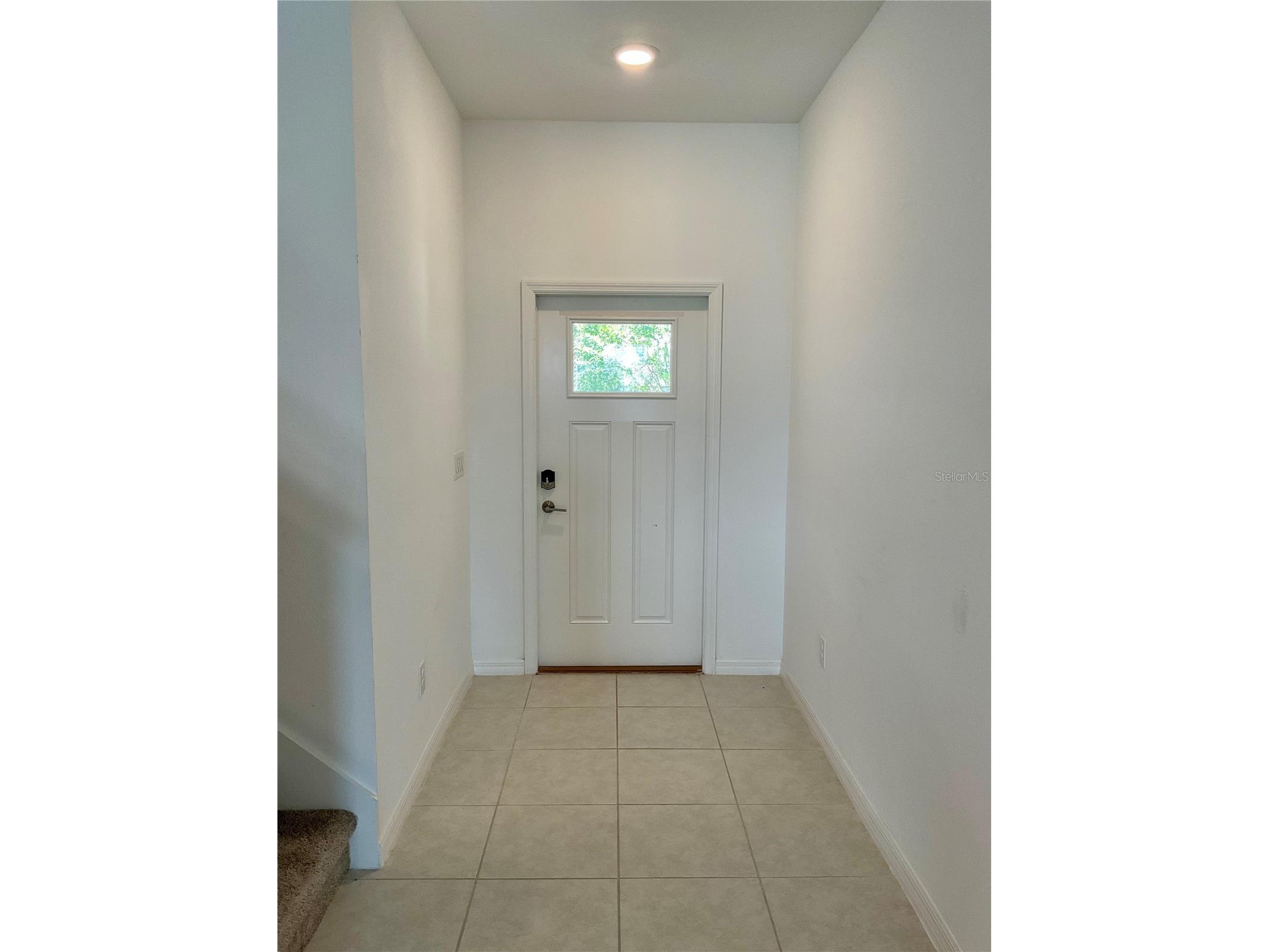 10380 Lavender Aster Trail San Antonio FL 33576 TB8513419 image40