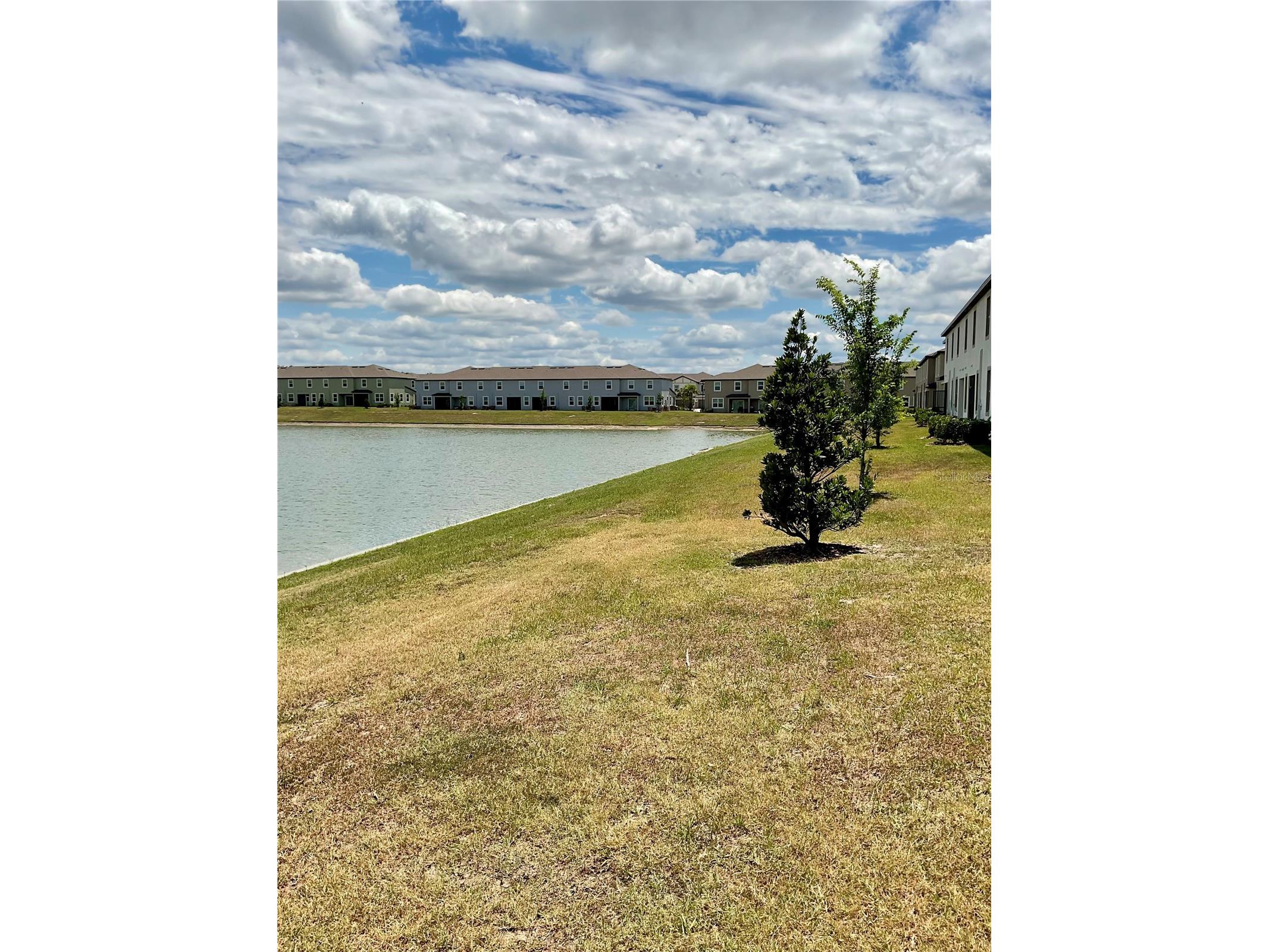 10380 Lavender Aster Trail San Antonio FL 33576 TB8513419 image42