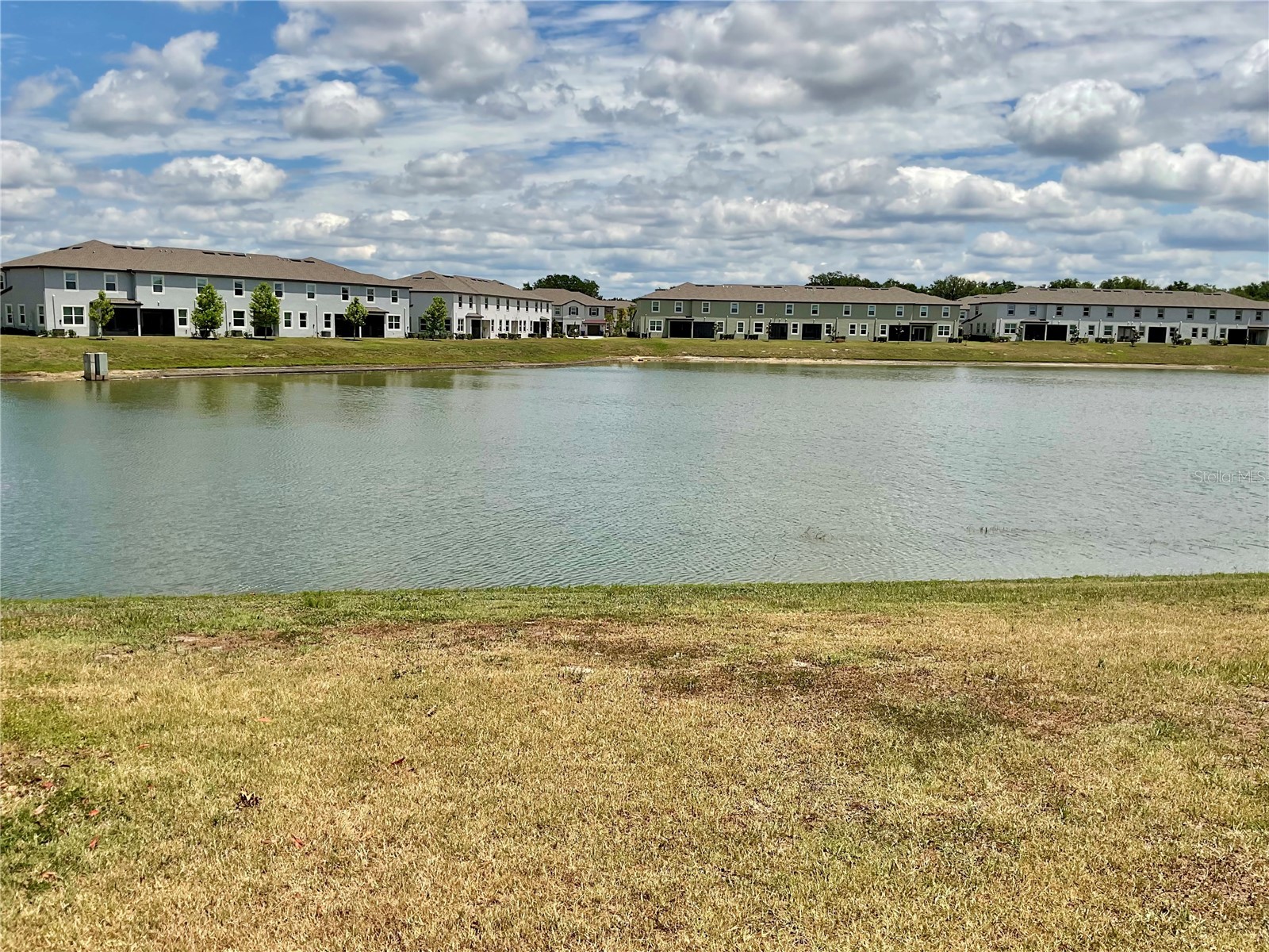 10380 Lavender Aster Trail San Antonio FL 33576 TB8513419 image43