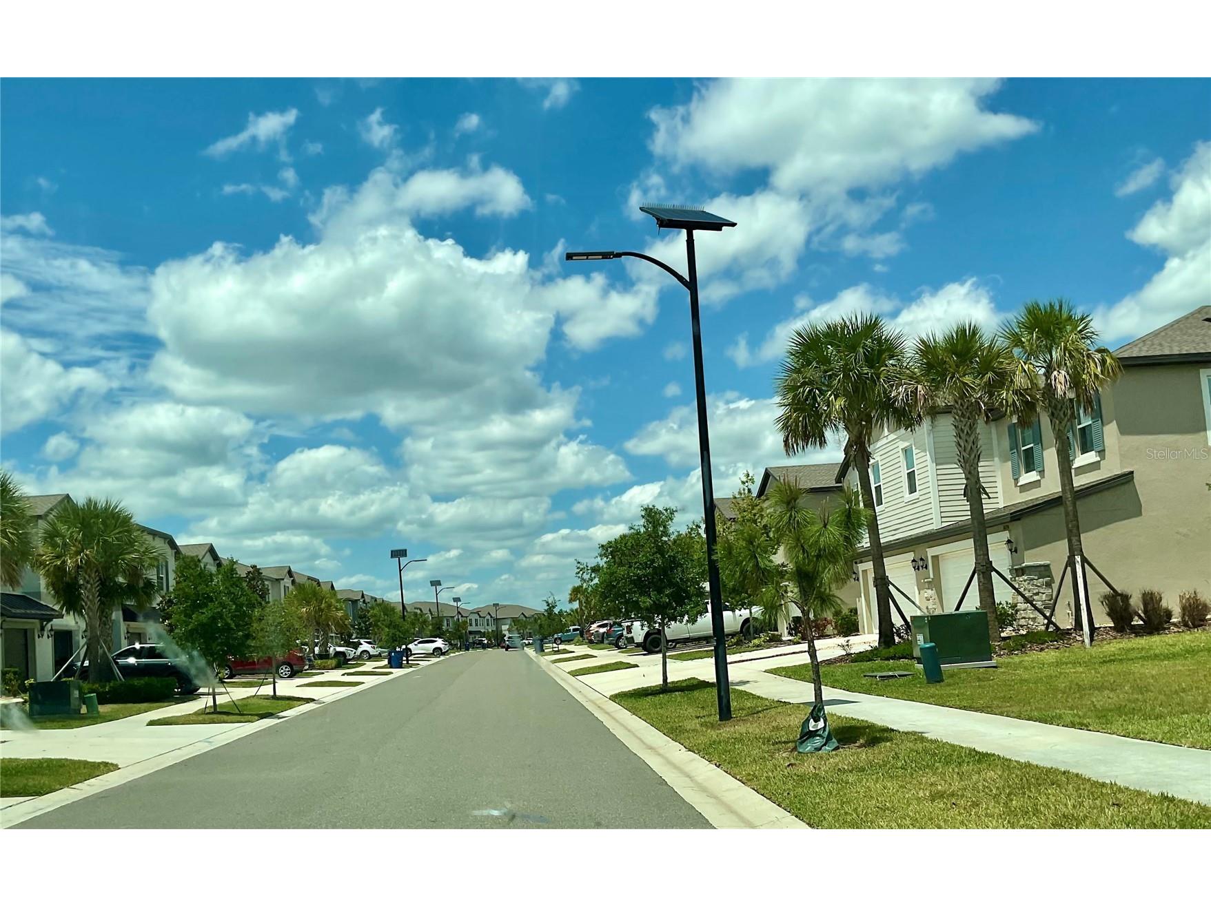 10380 Lavender Aster Trail San Antonio FL 33576 TB8513419 image44