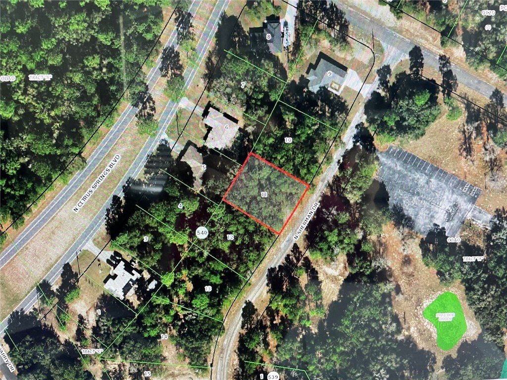 10380 N Sherman Drive Citrus Springs FL 34434 OM702364 image1