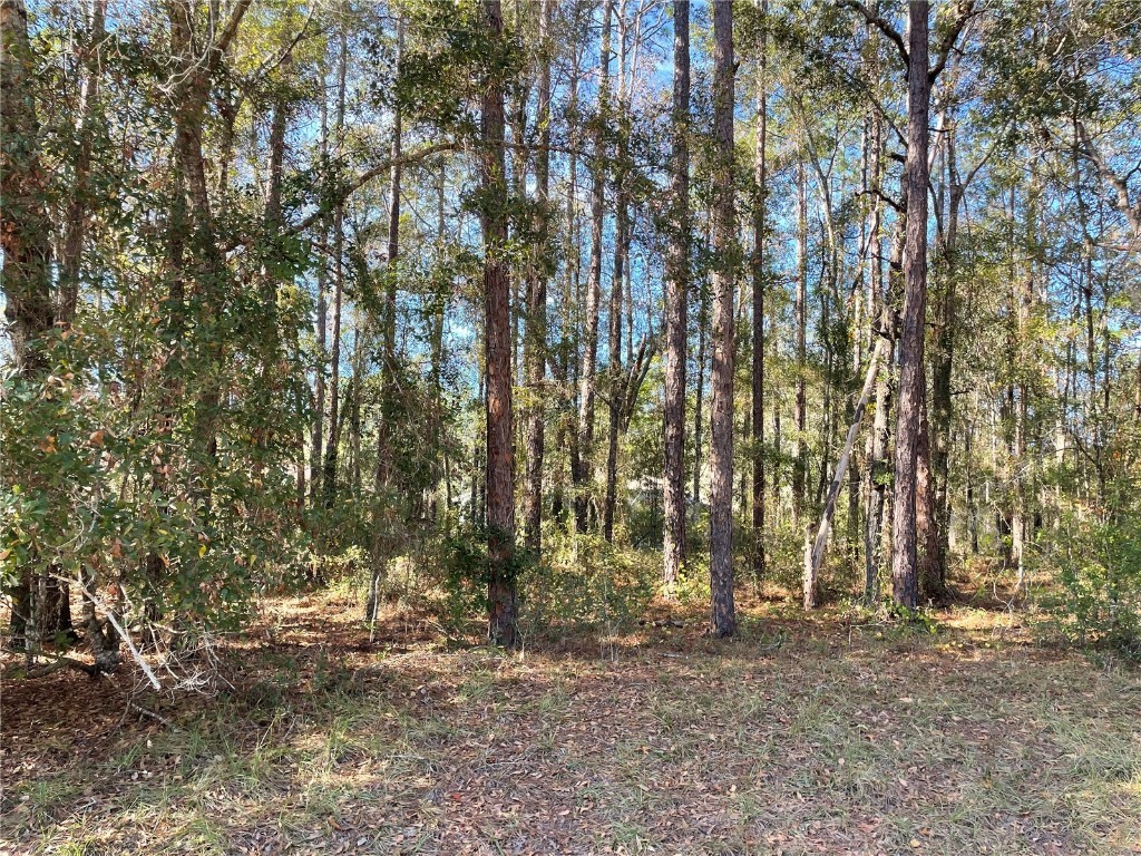 10380 N Sherman Drive Citrus Springs FL 34434 OM702364 image2