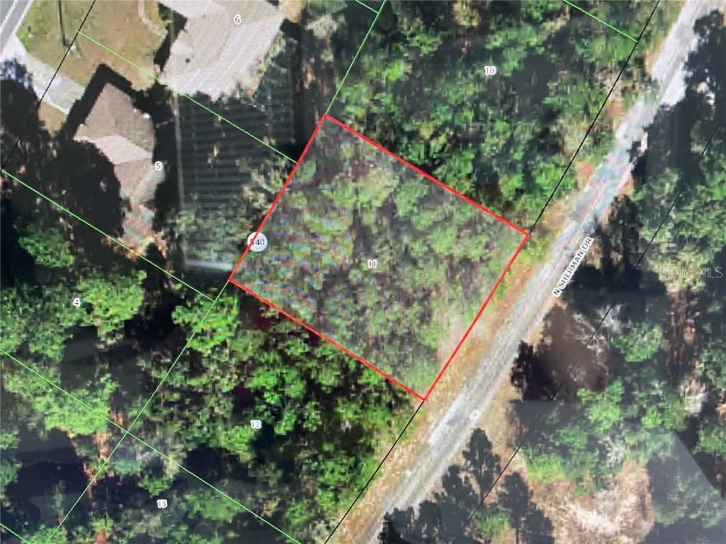 10380 N Sherman Drive Citrus Springs FL 34434 OM702364 image4