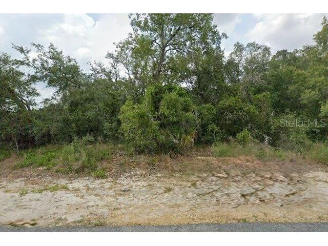 10381 Clarion Street Spring Hill FL 34608 S5150228 image2
