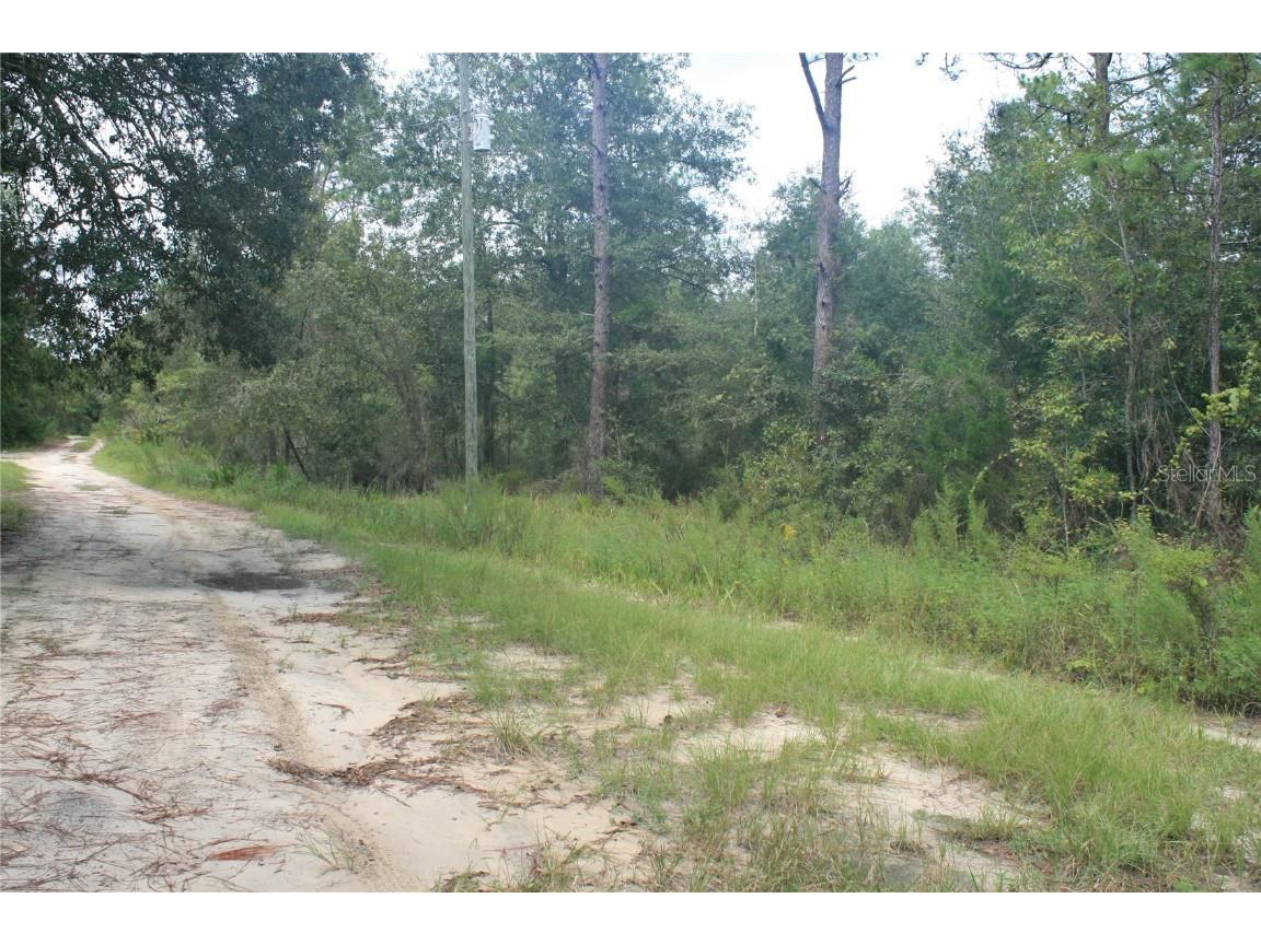 10381 NE 81st Street Bronson FL 32621 GC516211 image1