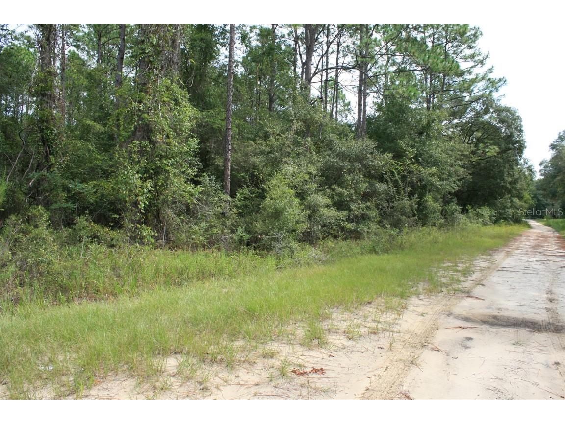 10381 NE 81st Street Bronson FL 32621 GC523743 image1