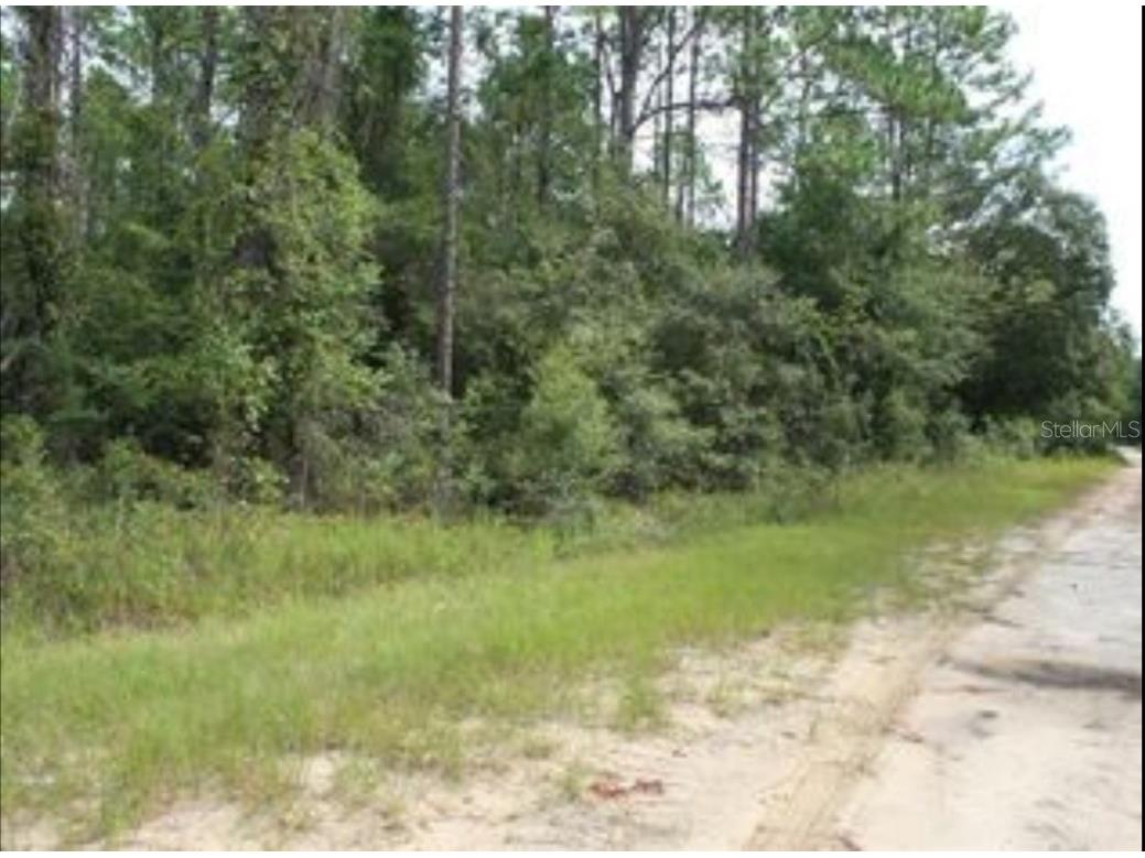 10381 NE 81st Street Bronson FL 32621 G5097997 image1