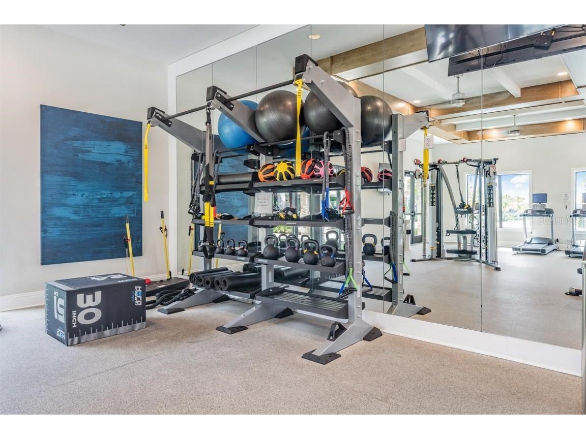 10381 Tupper Cay Drive San Antonio FL 33576 TB8390299 image59