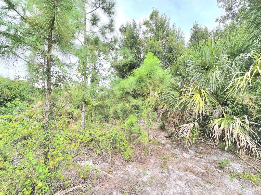 10382 Deerwood Avenue Englewood FL 34224 C7515502 image10