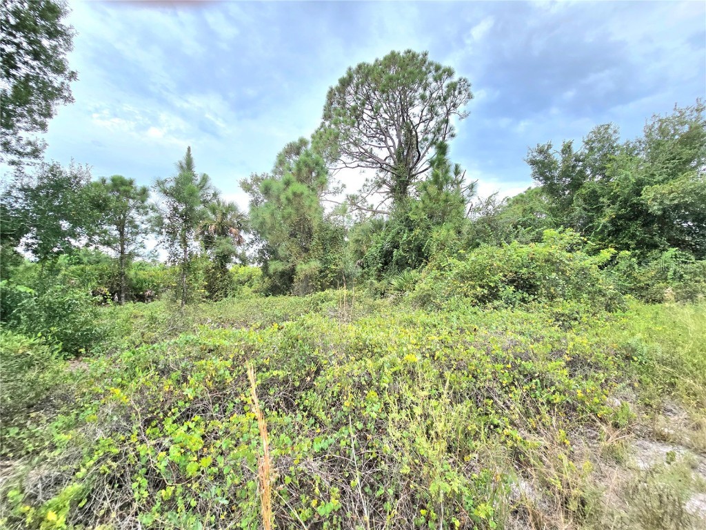 10382 Deerwood Avenue Englewood FL 34224 C7515502 image6