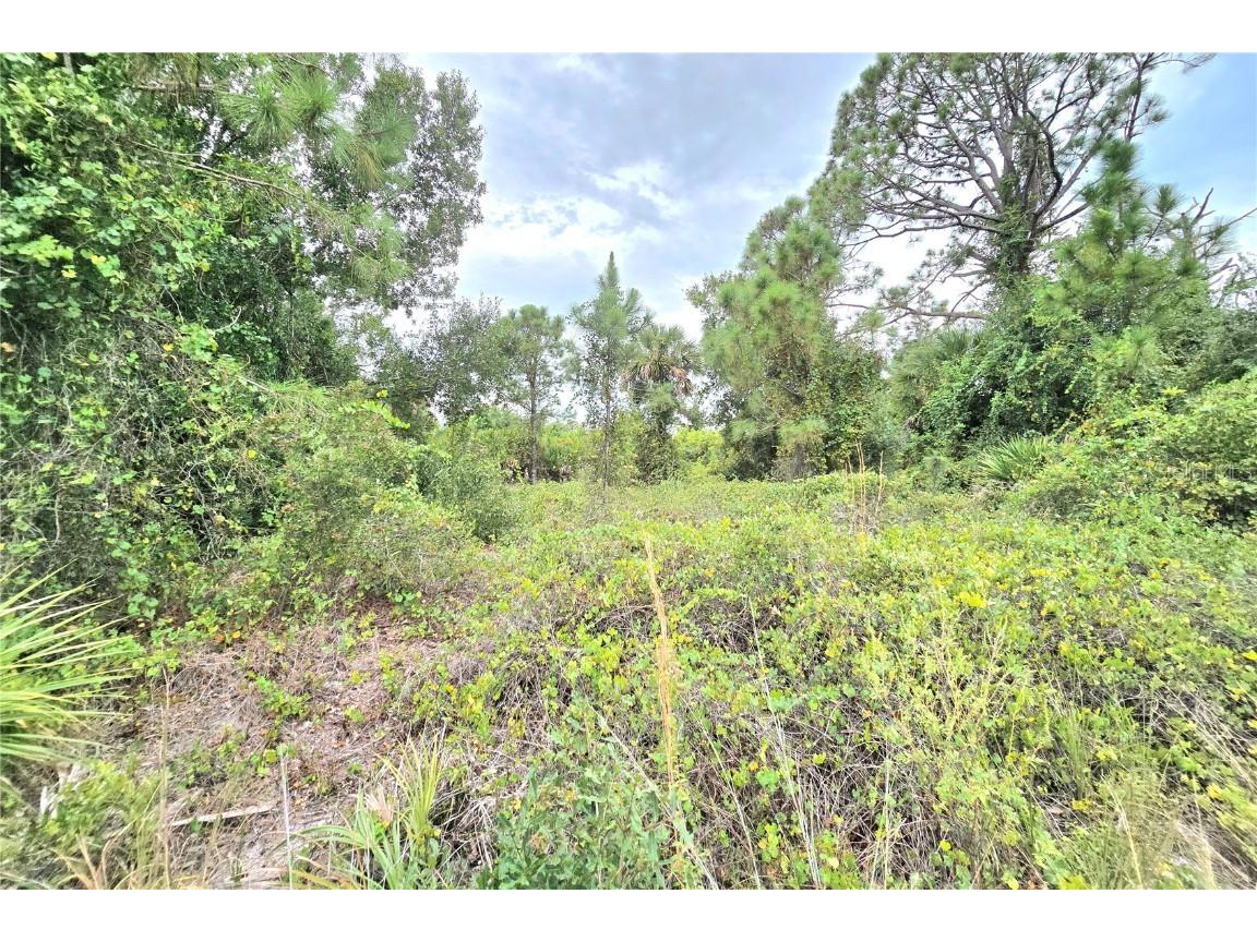 10382 Deerwood Avenue Englewood FL 34224 C7515502 image7