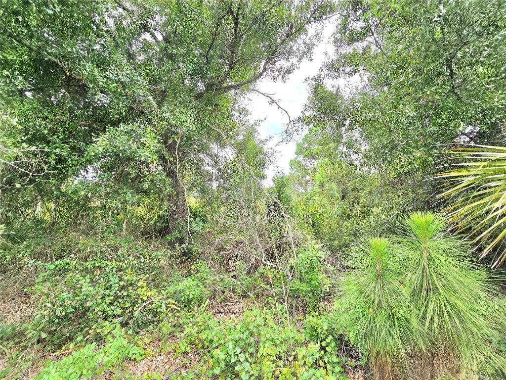 10382 Deerwood Avenue Englewood FL 34224 C7515502 image8