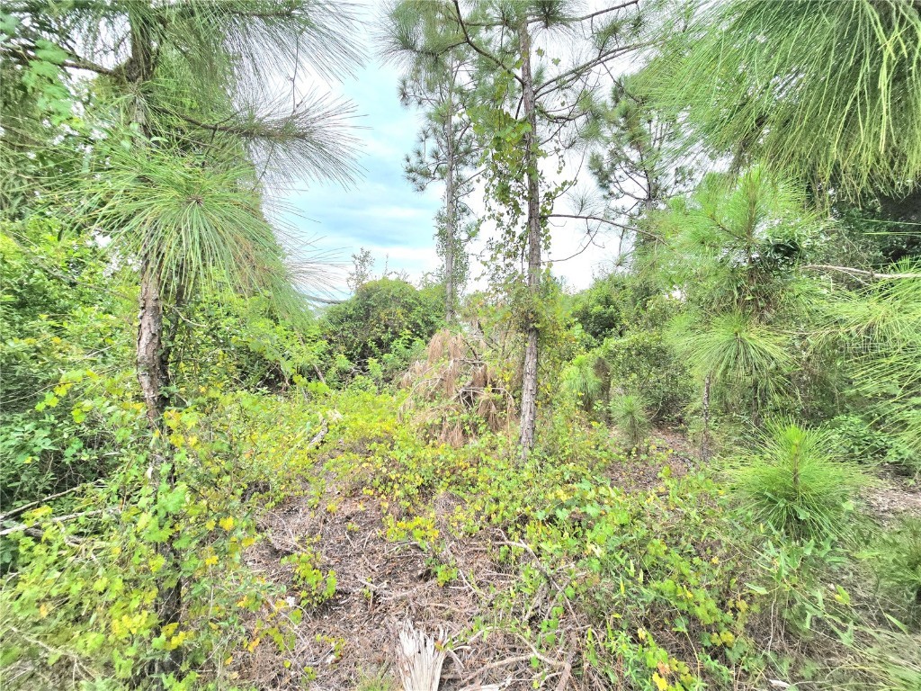 10382 Deerwood Avenue Englewood FL 34224 C7515502 image9