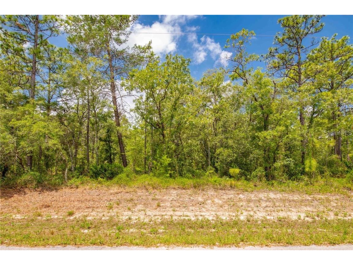 10382 Flycatcher Road Brooksville FL 34613 TB8393974 image1