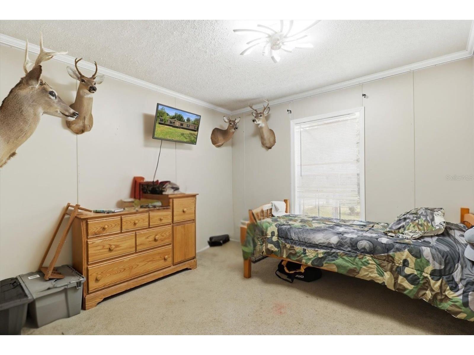 10382 W Killarney Street Crystal River FL 34428 OM724306 image23