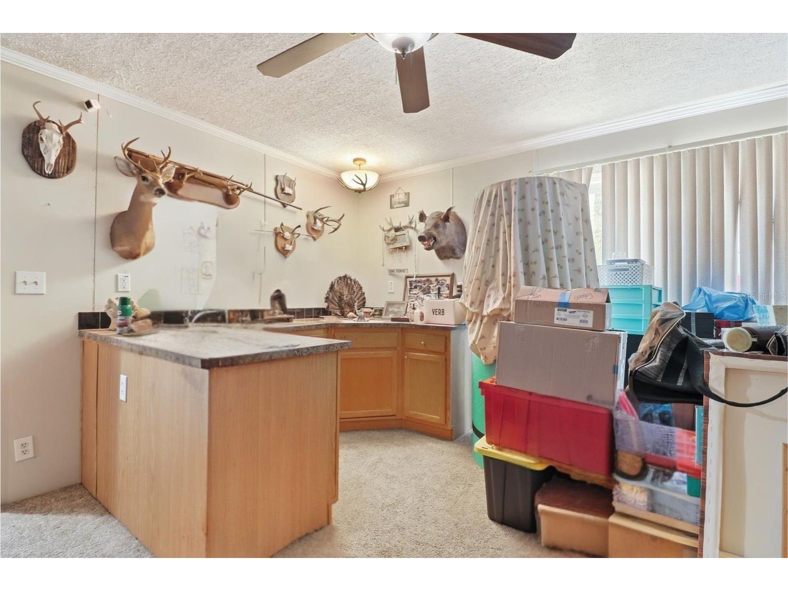 10382 W Killarney Street Crystal River FL 34428 OM724306 image27