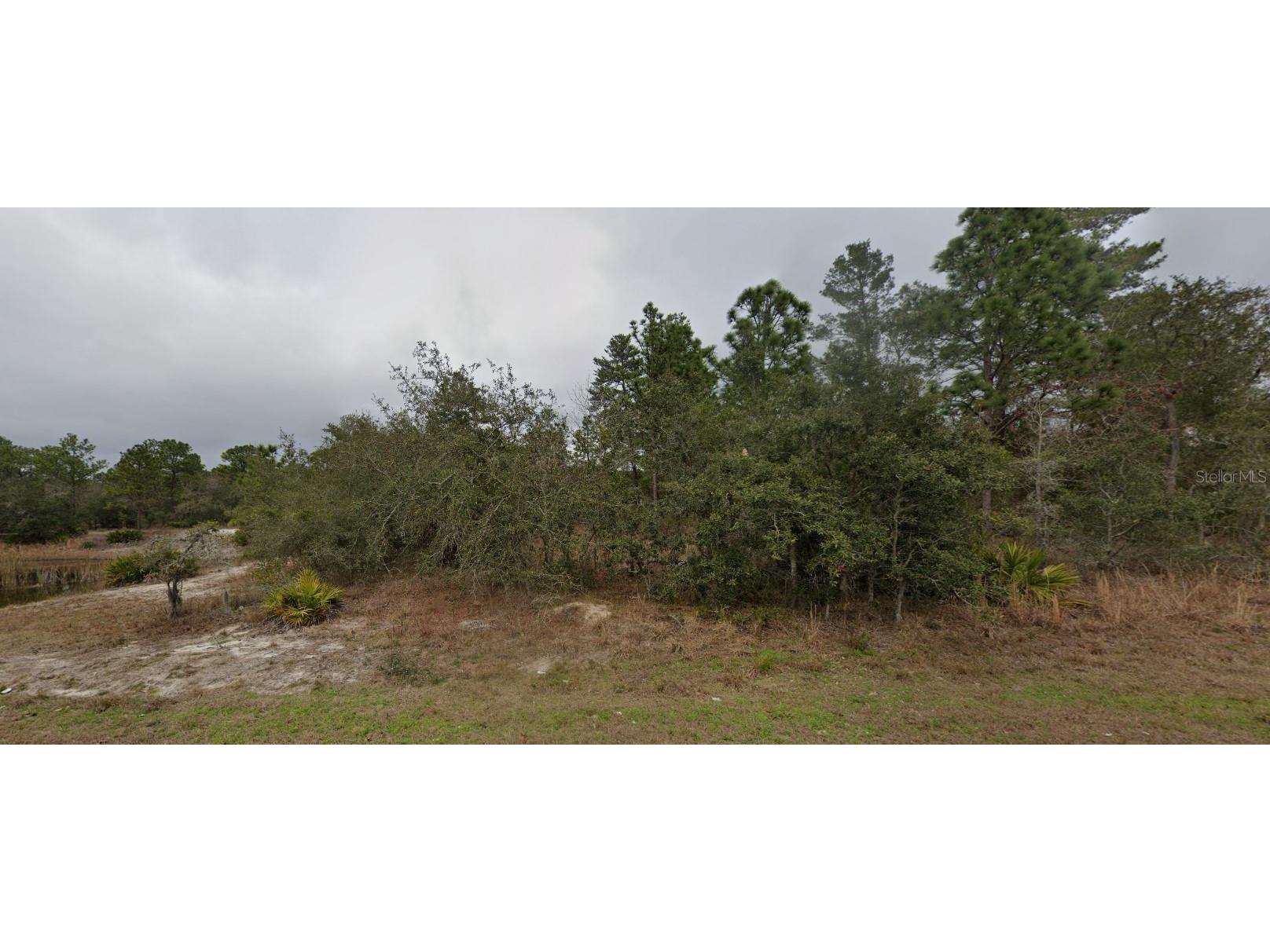 10383 Fulton Avenue Weeki Wachee FL 34613 S5107378 image1