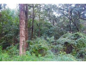 10383 Lear Street Spring Hill FL 34608 W7868086 image1