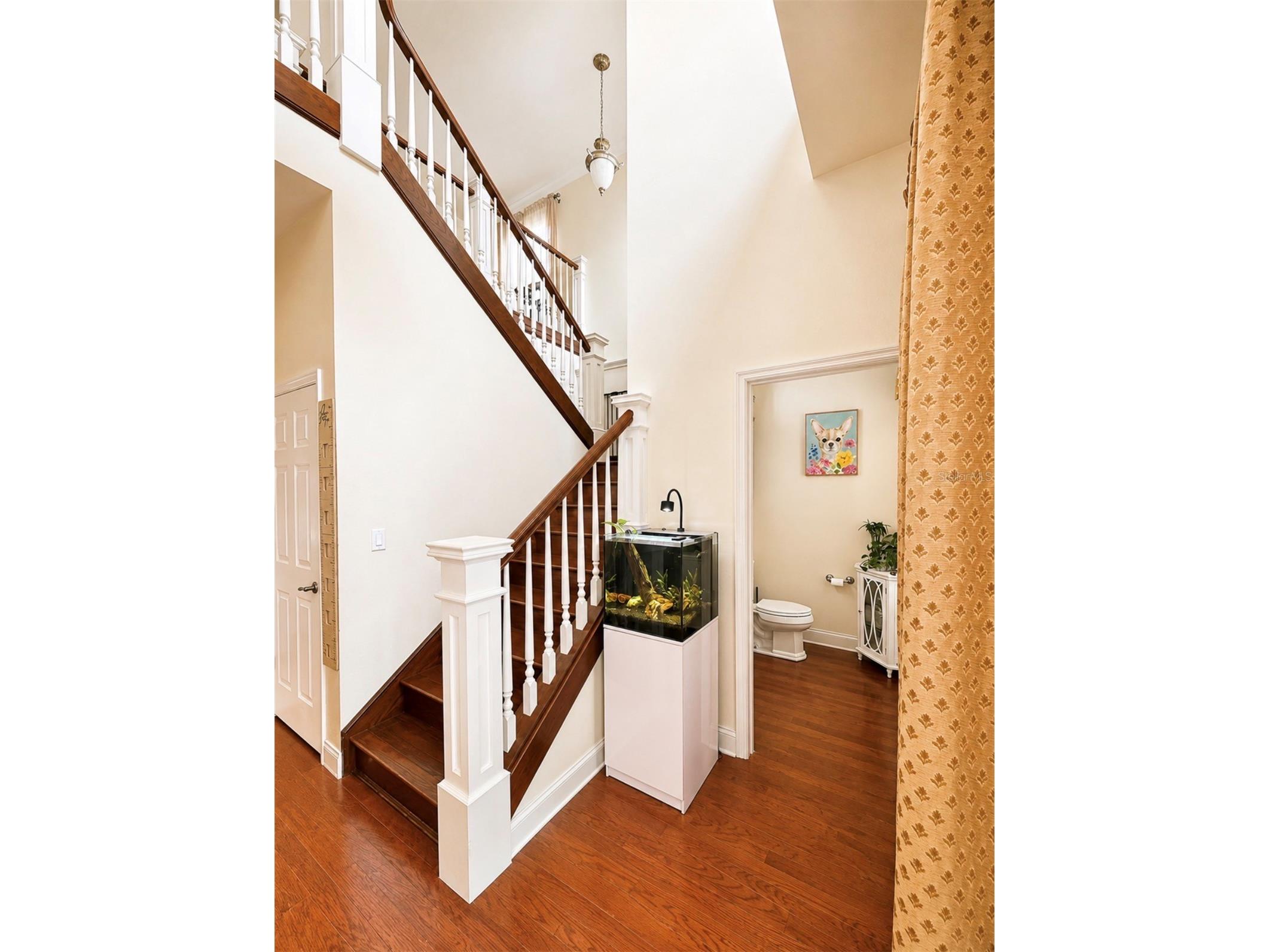 10384 SE 41st Terrace Belleview FL 34420 OM726183 image21