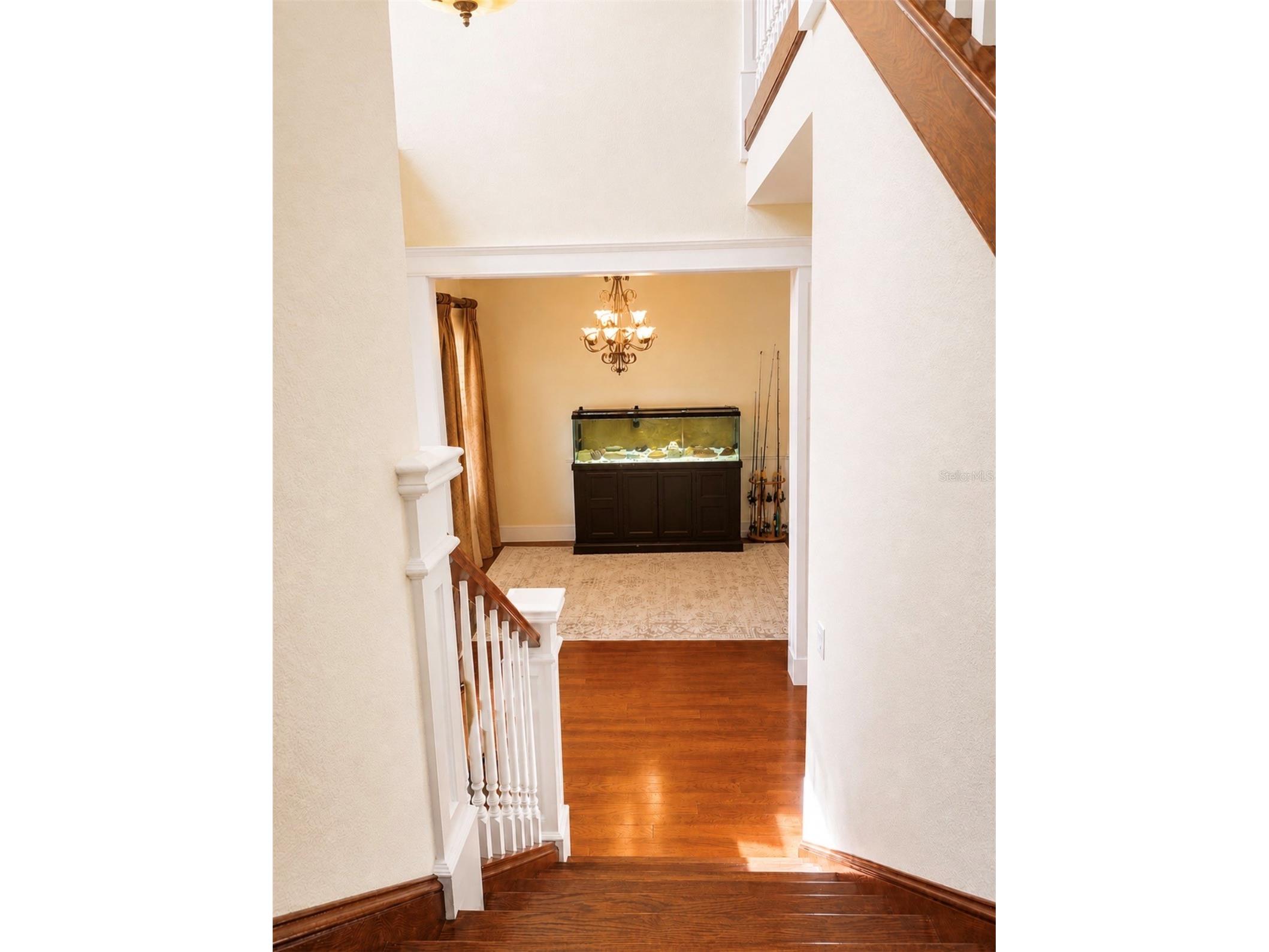 10384 SE 41st Terrace Belleview FL 34420 OM726183 image25