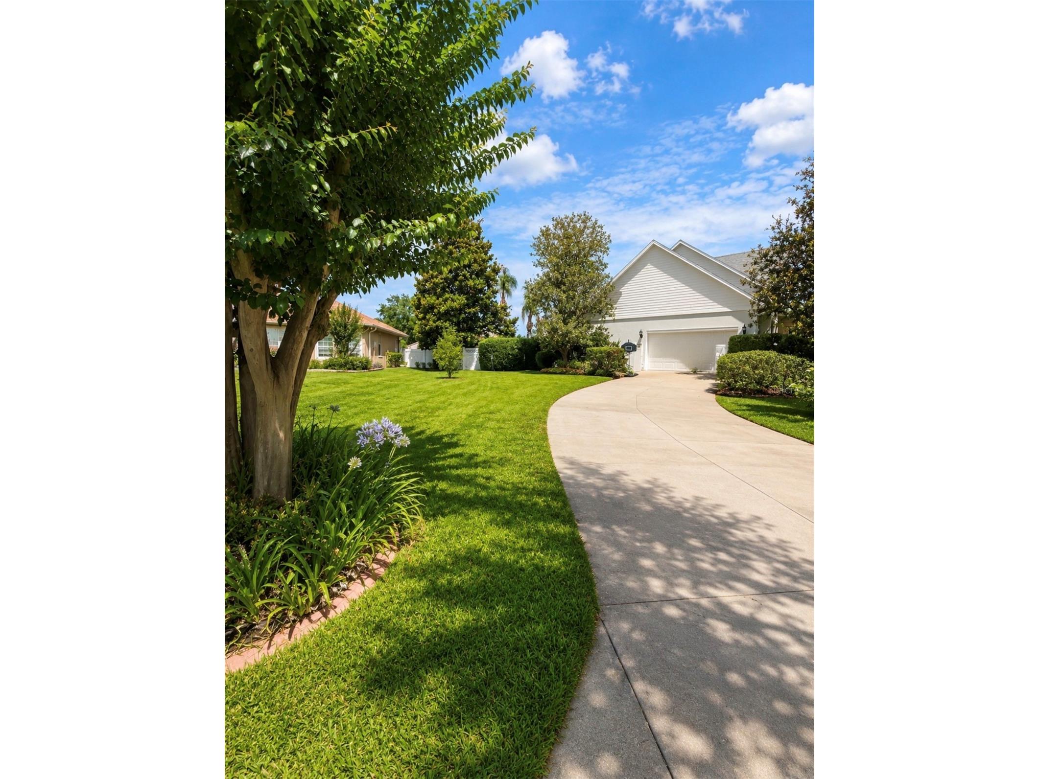 10384 SE 41st Terrace Belleview FL 34420 OM726183 image3
