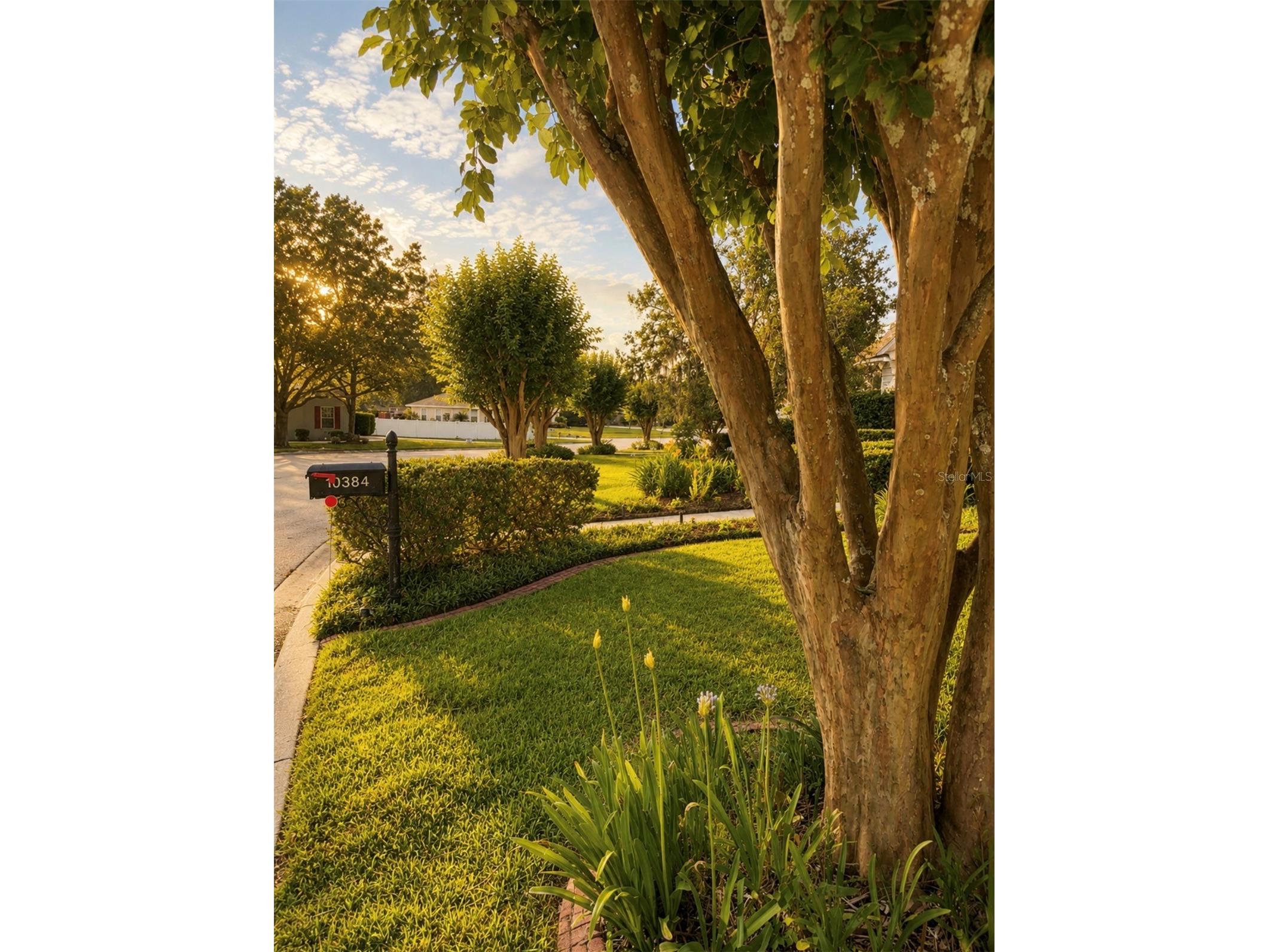 10384 SE 41st Terrace Belleview FL 34420 OM726183 image48